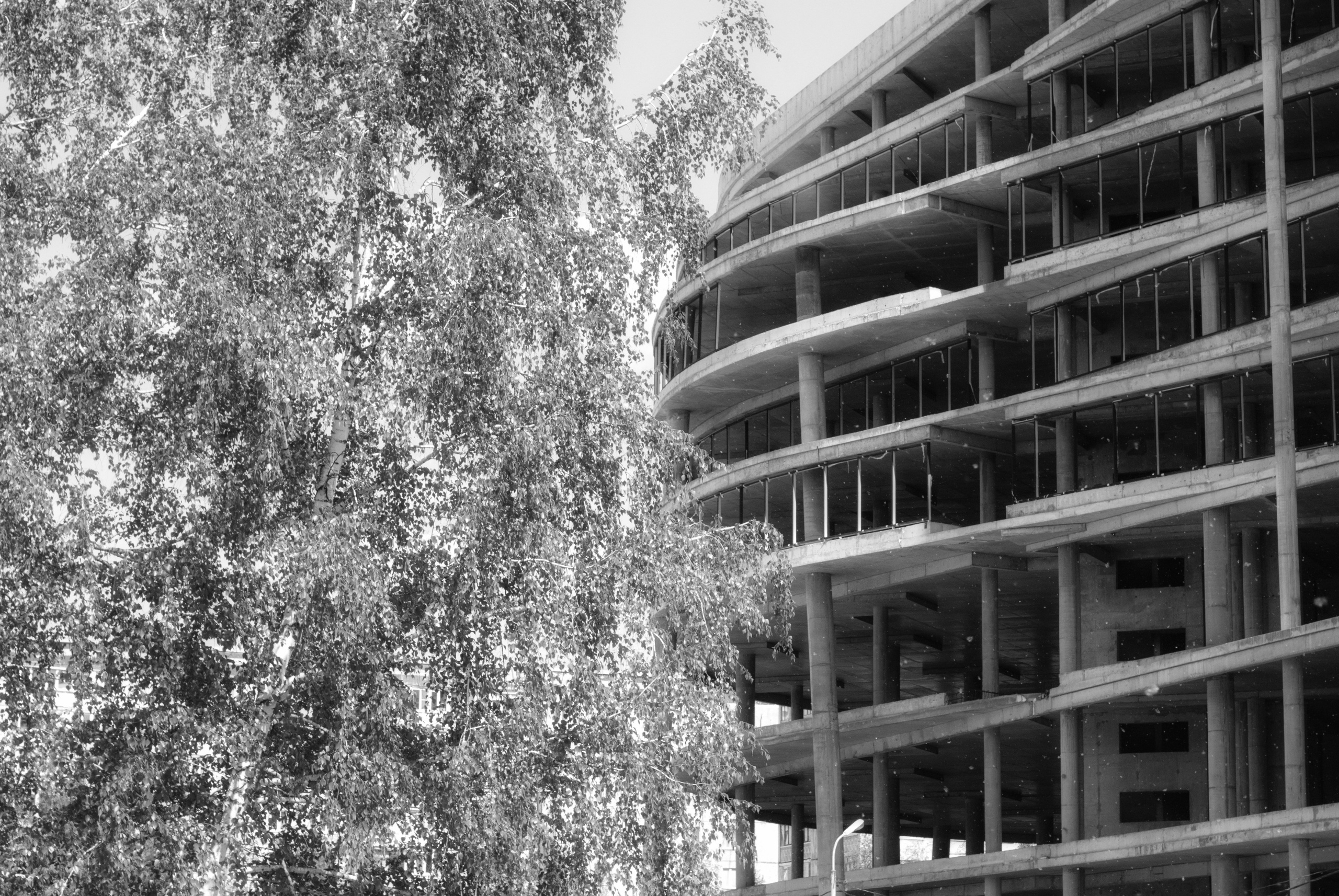 Внутривенные сны (2018-2023)