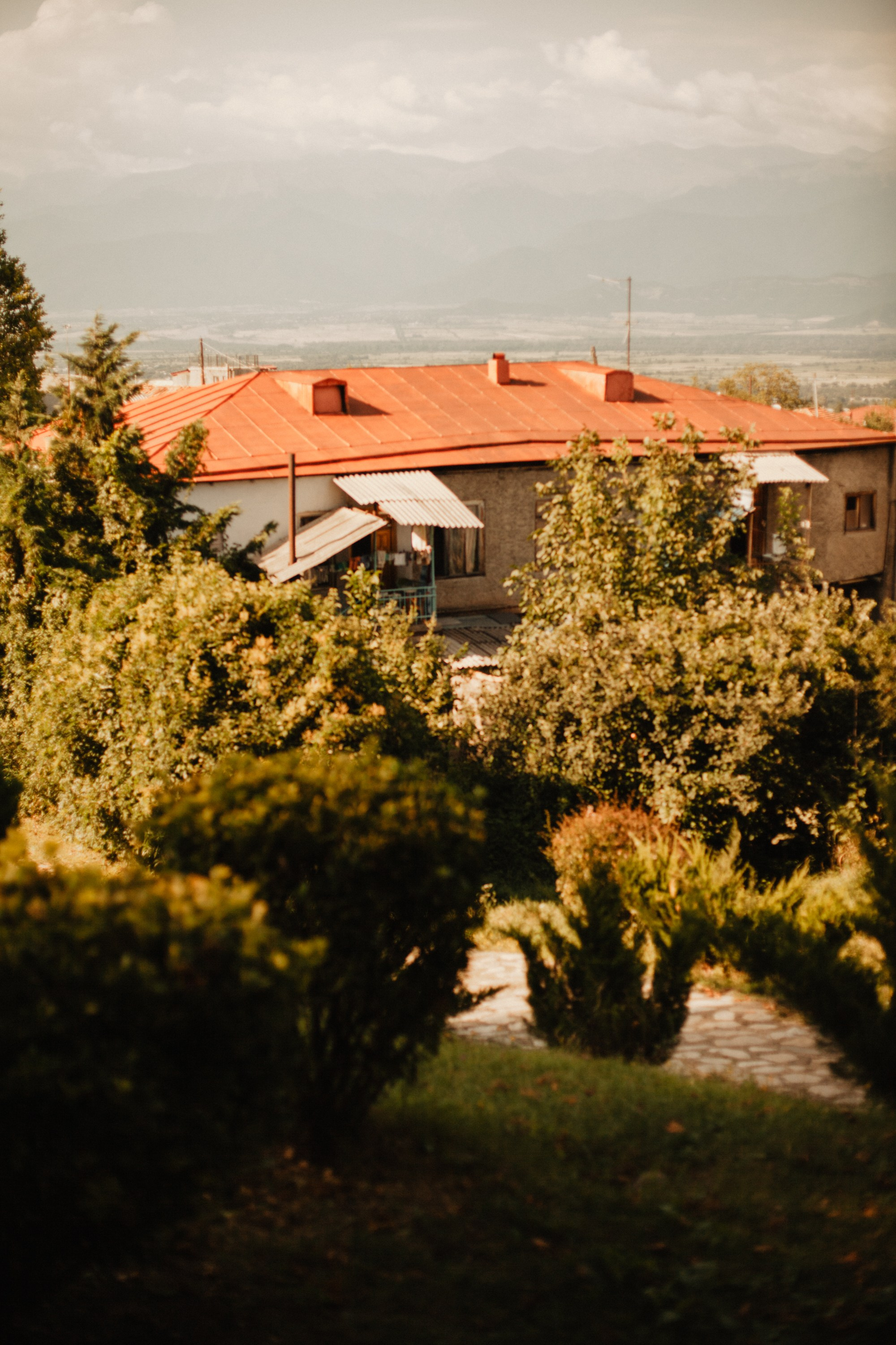 Грузинские каникулы. Violetta Skripka