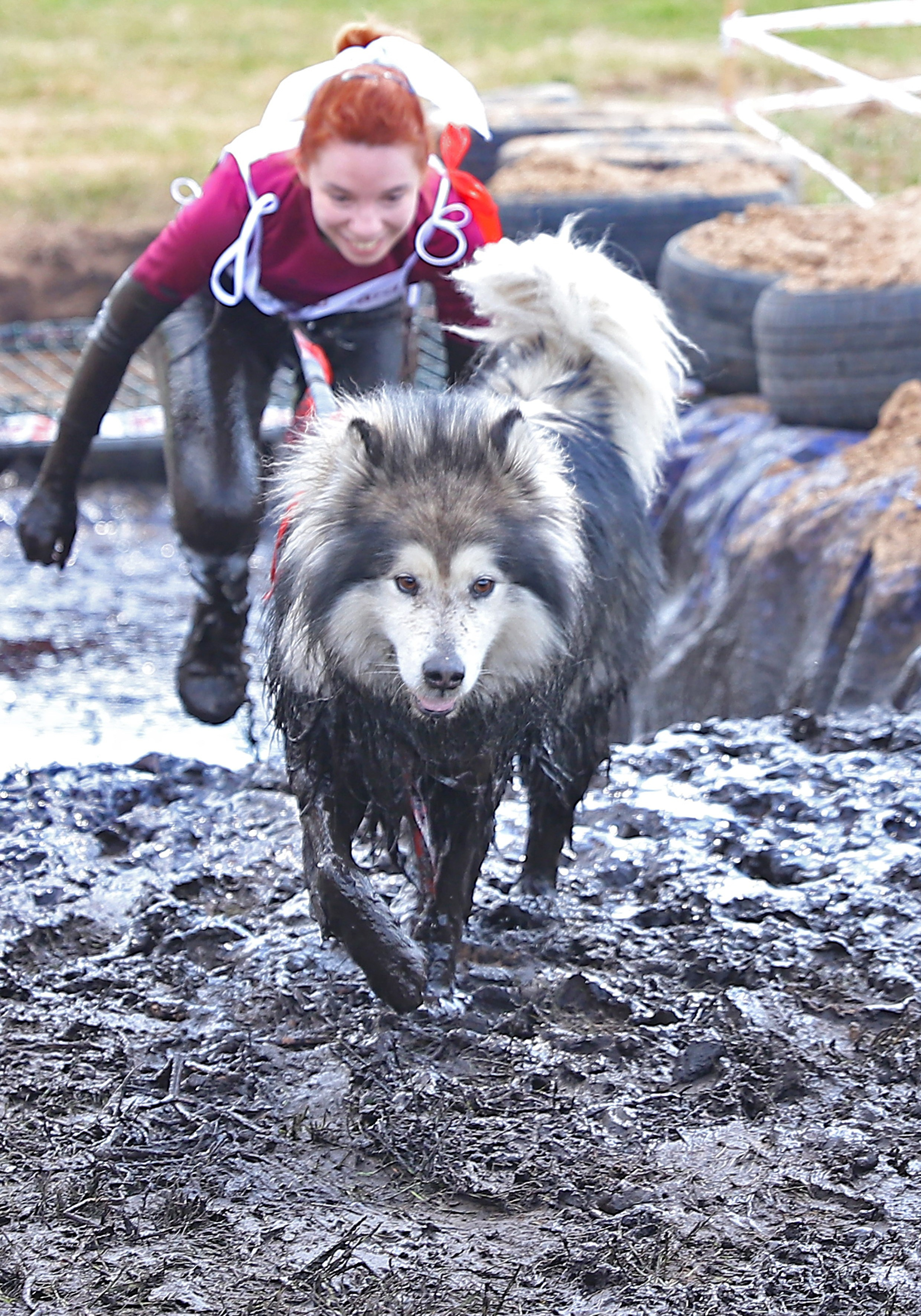 Хвостатый драйв. Семейный и детский фотограф в Москве и МО Елена Москвичева