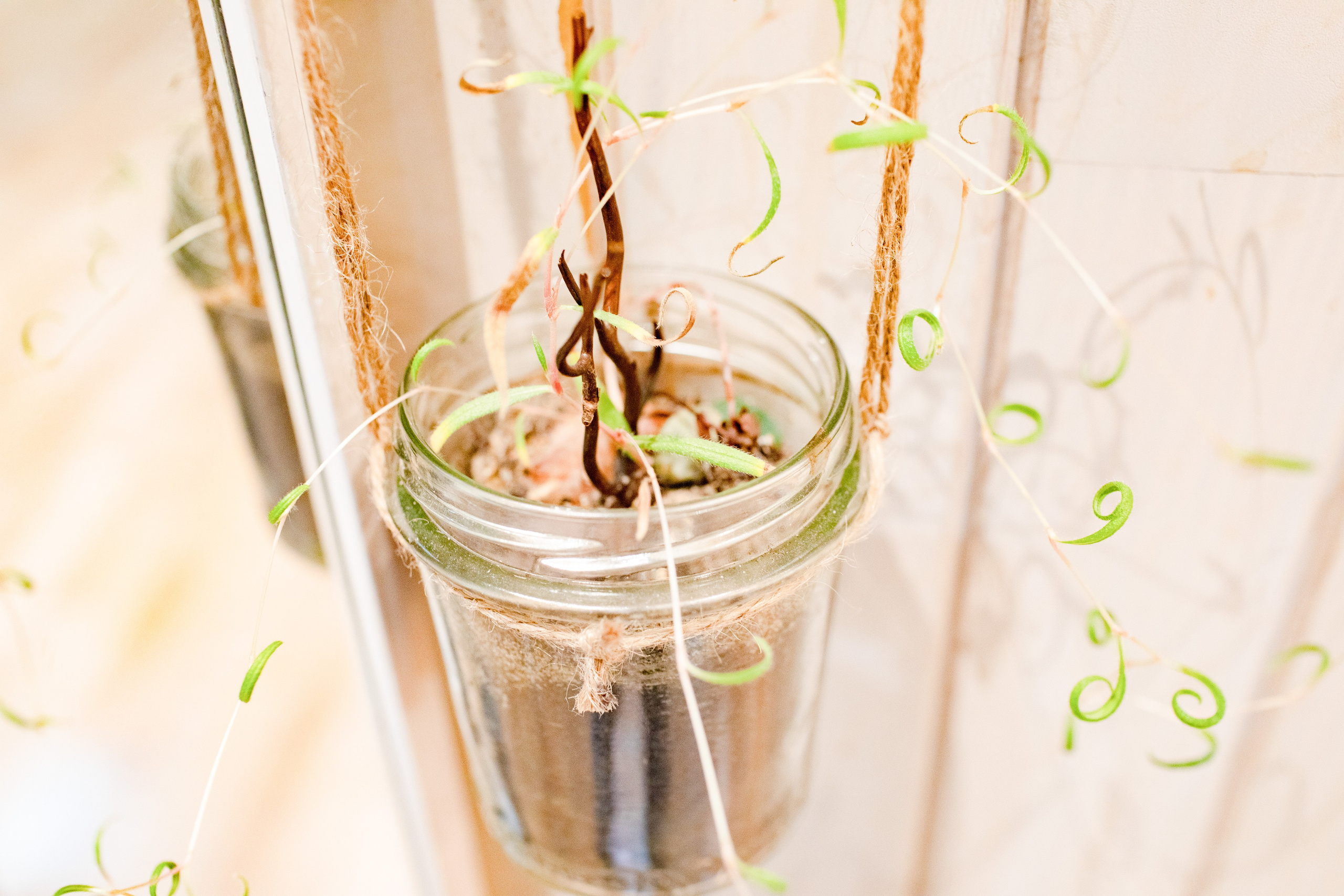 Escape. Maria Abdullaeva