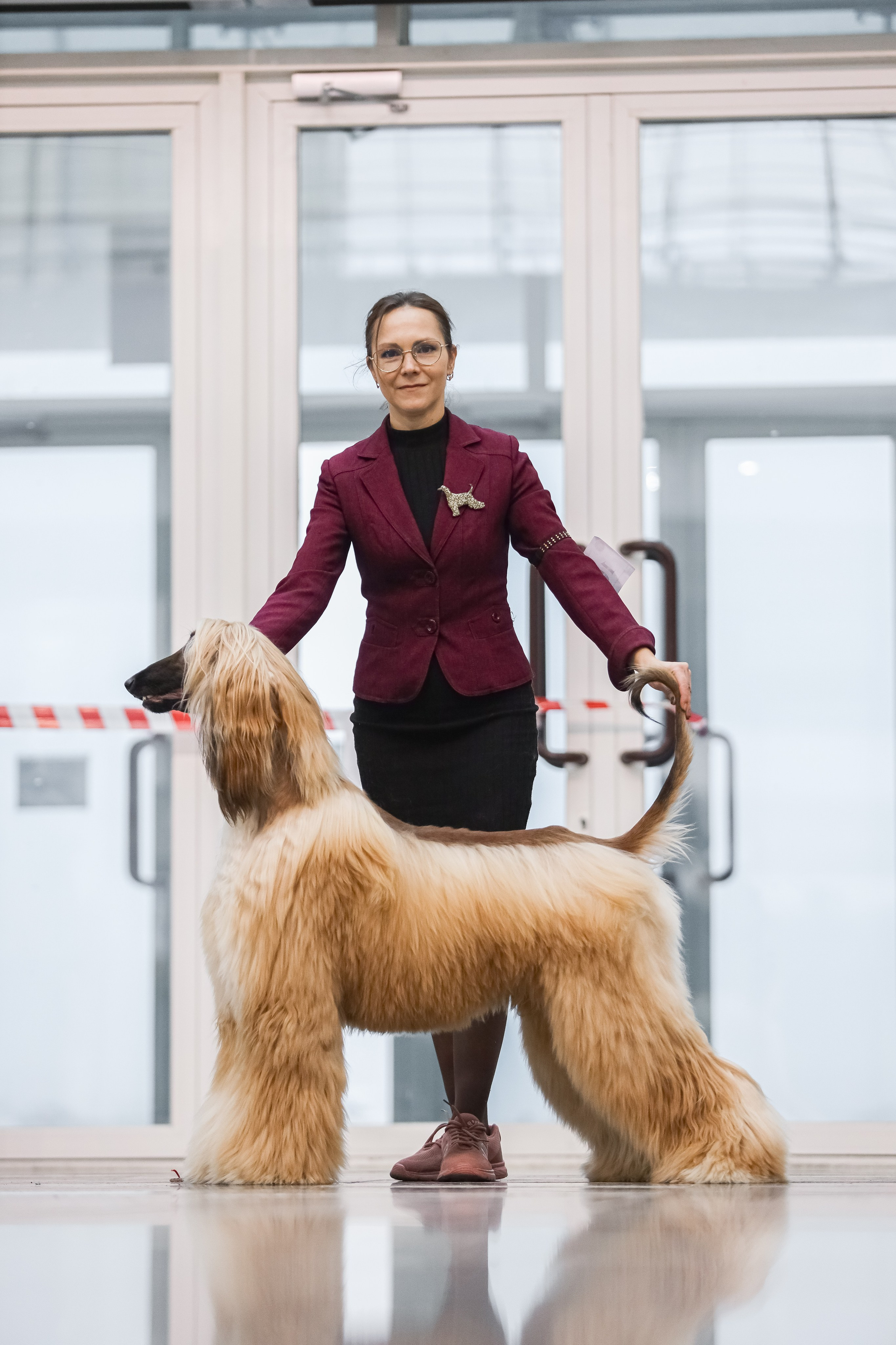 Международная выставка собак СACIB FCI 29-30.11.2025. Галерея фотографий афганской борзой