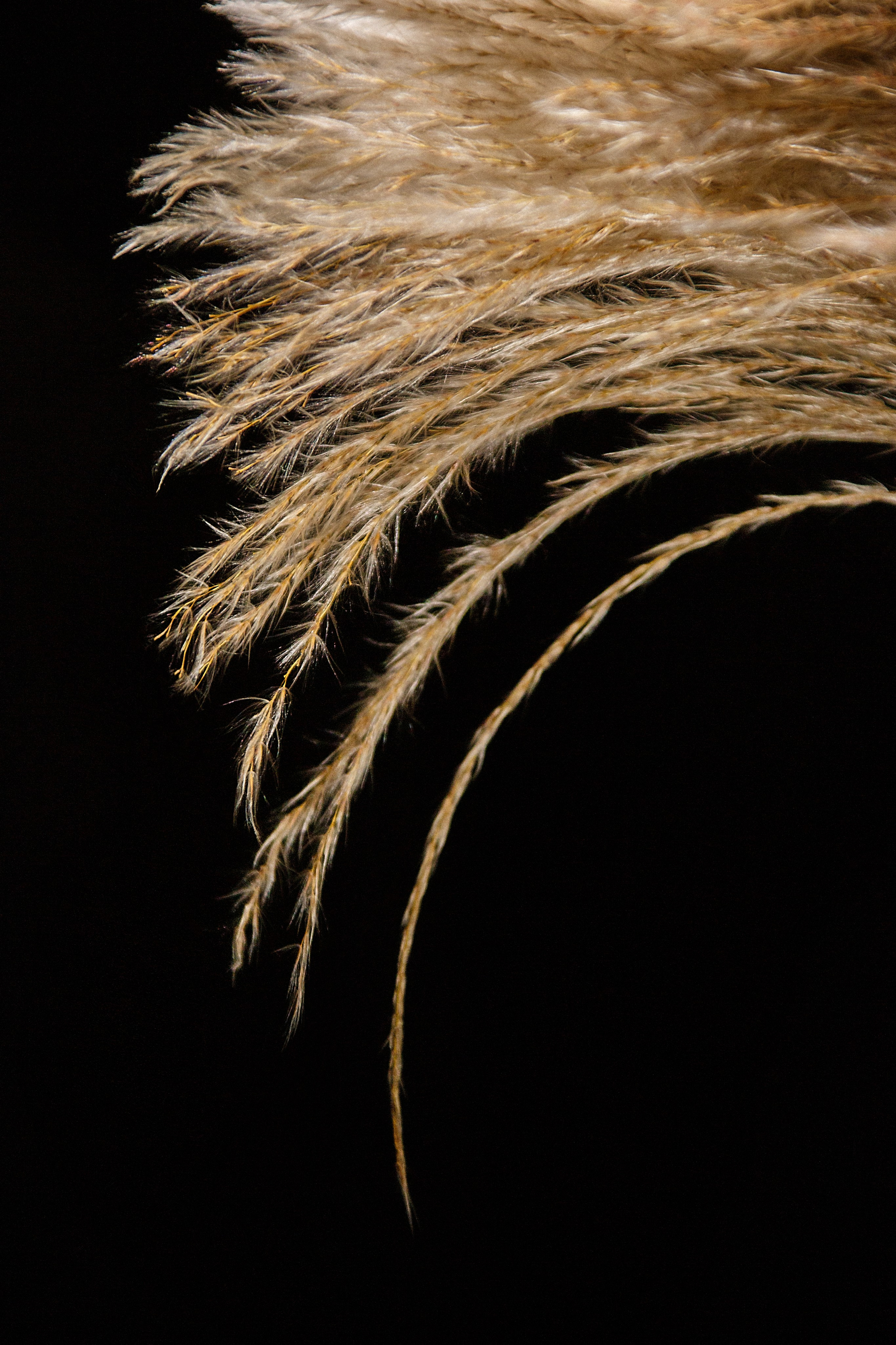 Проект «366»|2024|Фото каждый день. LENA GRACE photographer ||ЛЕНА ГРЭЙС фотограф