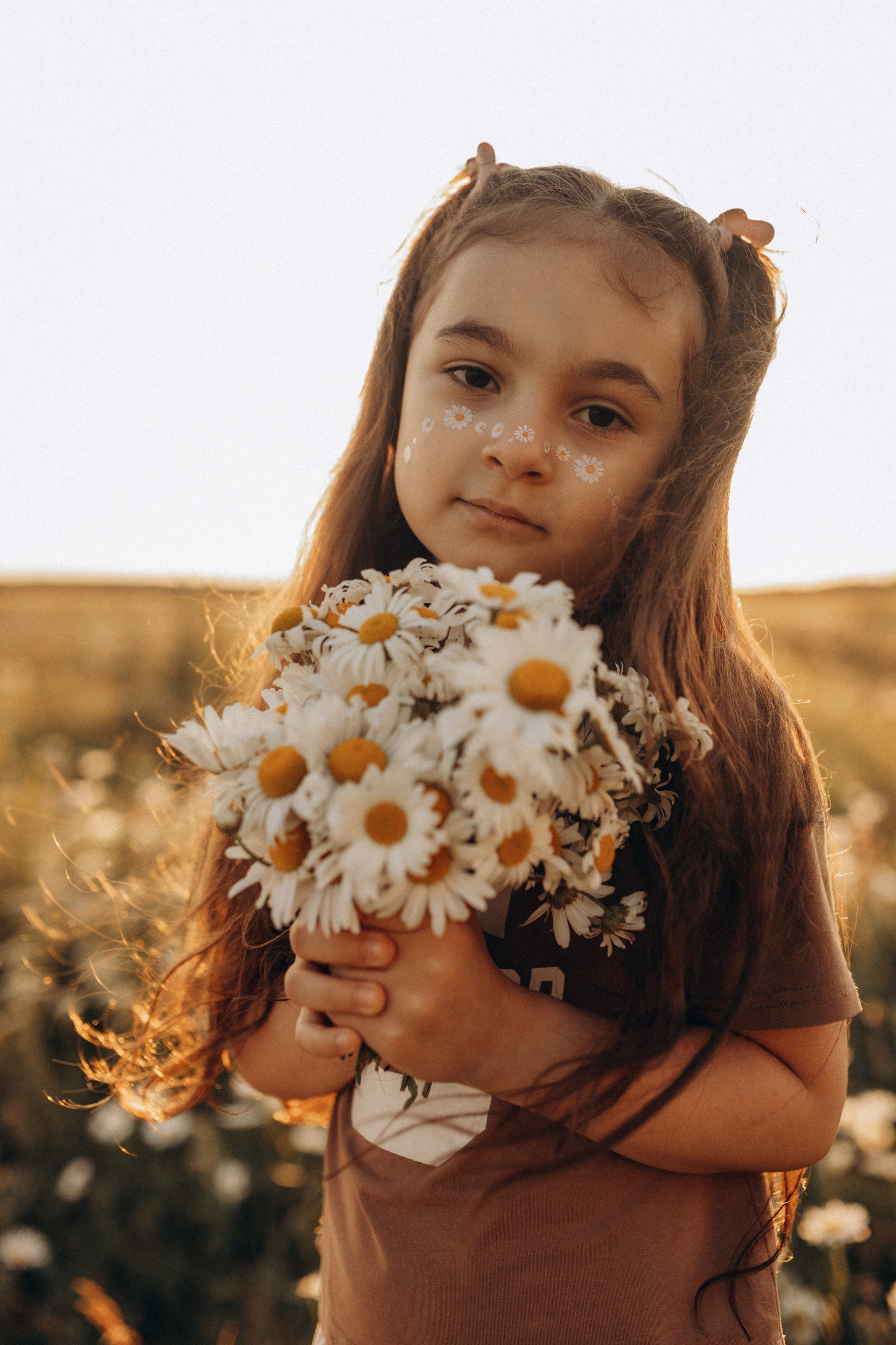 Закат на ромашковом поле. Фотограф в Ставрополе Svetlana Matveeva