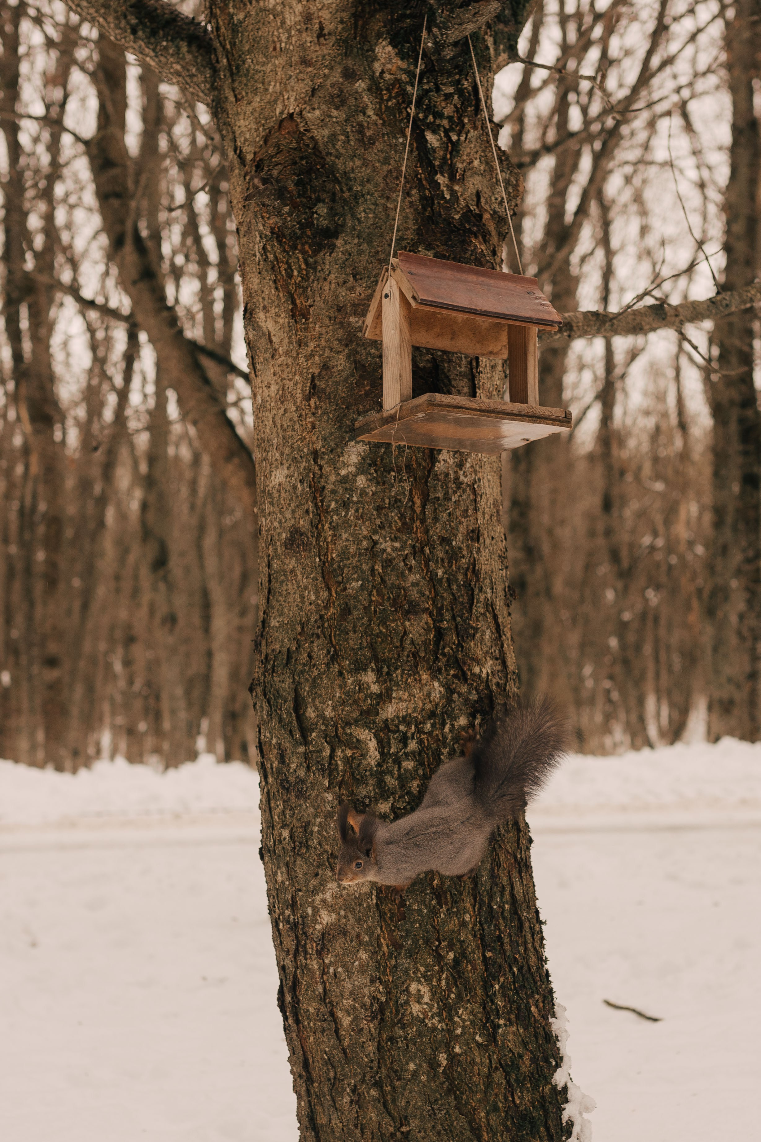 Назад в СССР. Фотограф в Ставрополе Svetlana Matveeva