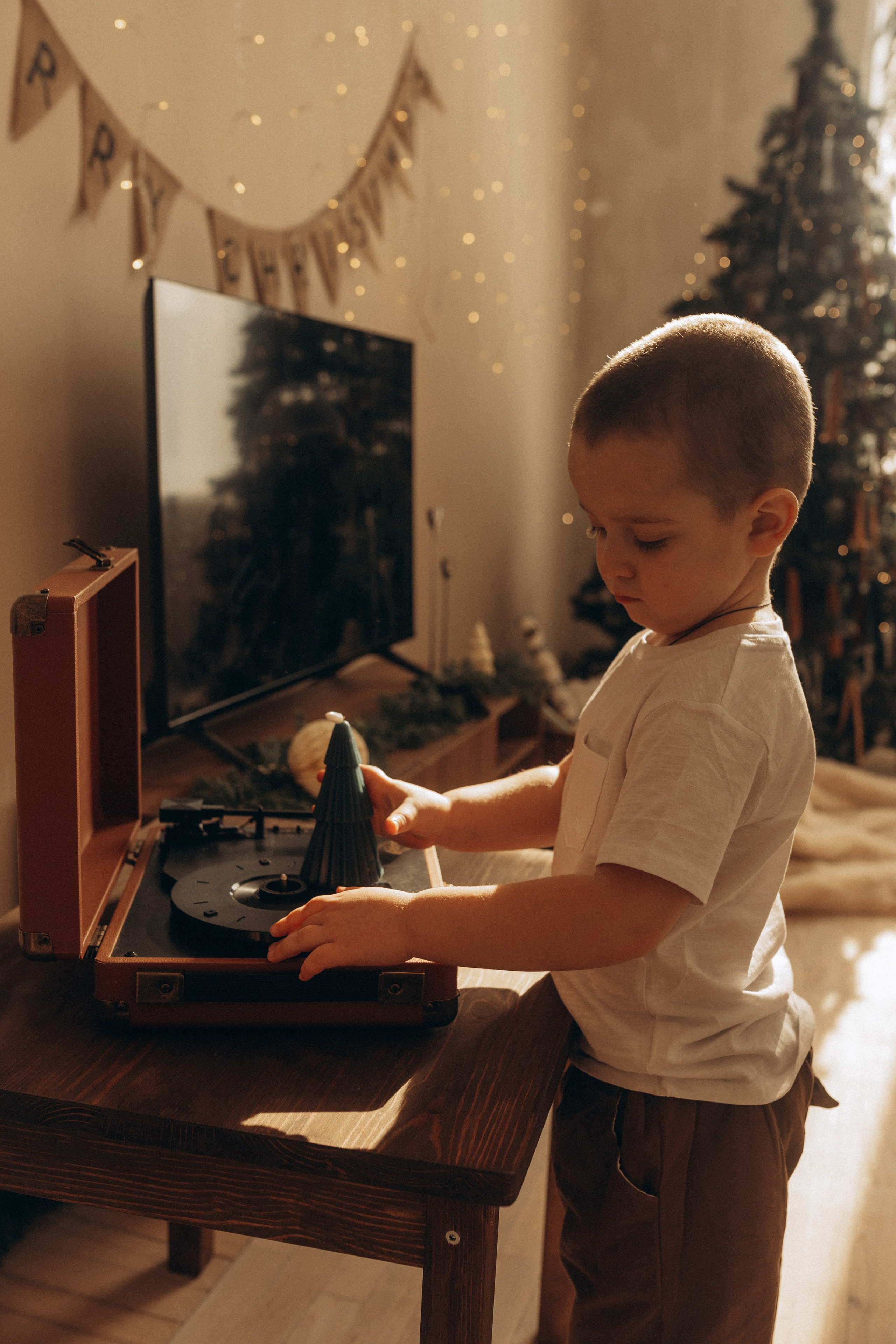 Семейная новогодняя история. Фотограф в Ставрополе Svetlana Matveeva