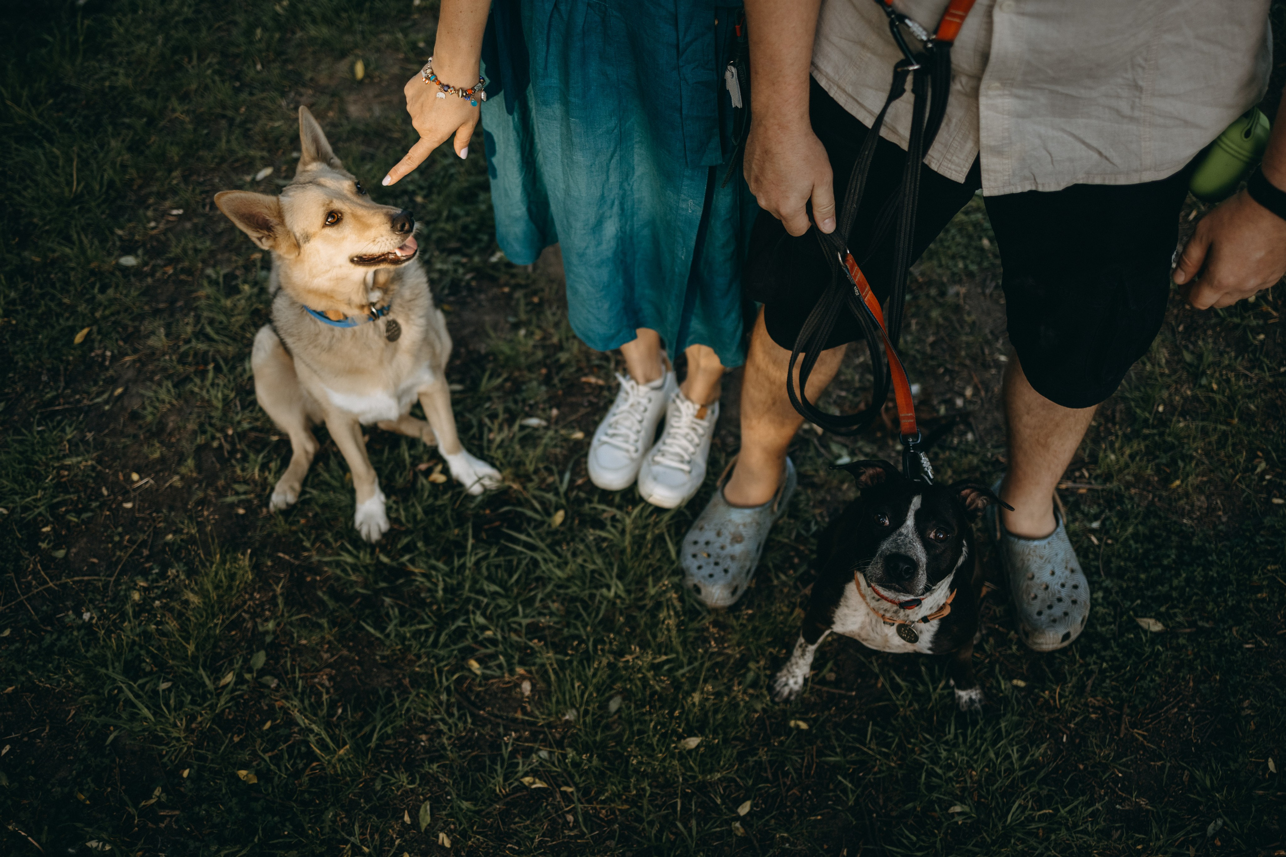 Татьяна, Сергей и их Булочка и Пончик. Фотограф — Анималист | Санкт-Петербург