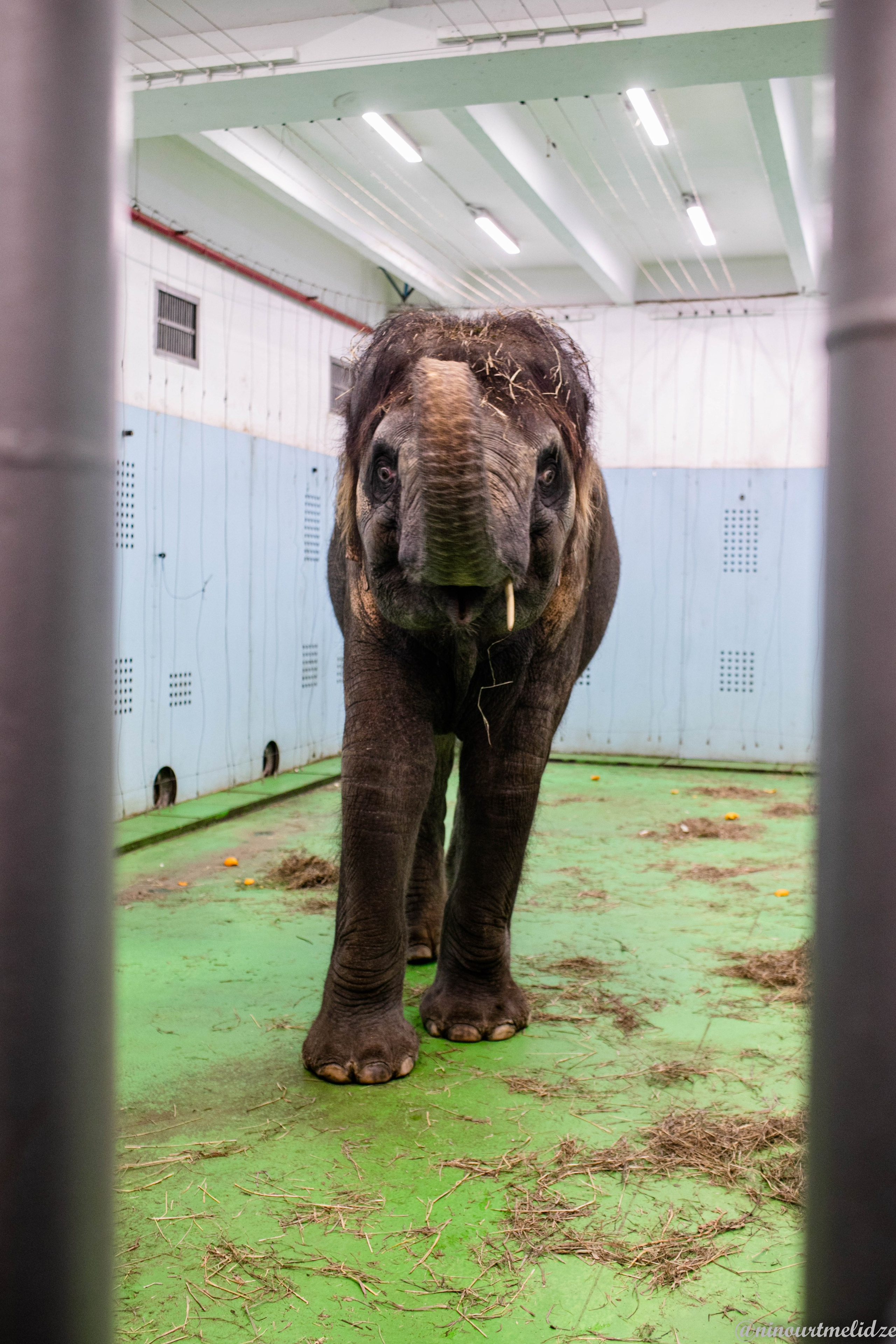 В закулисье у братьев Запашных. Art photographer Nino