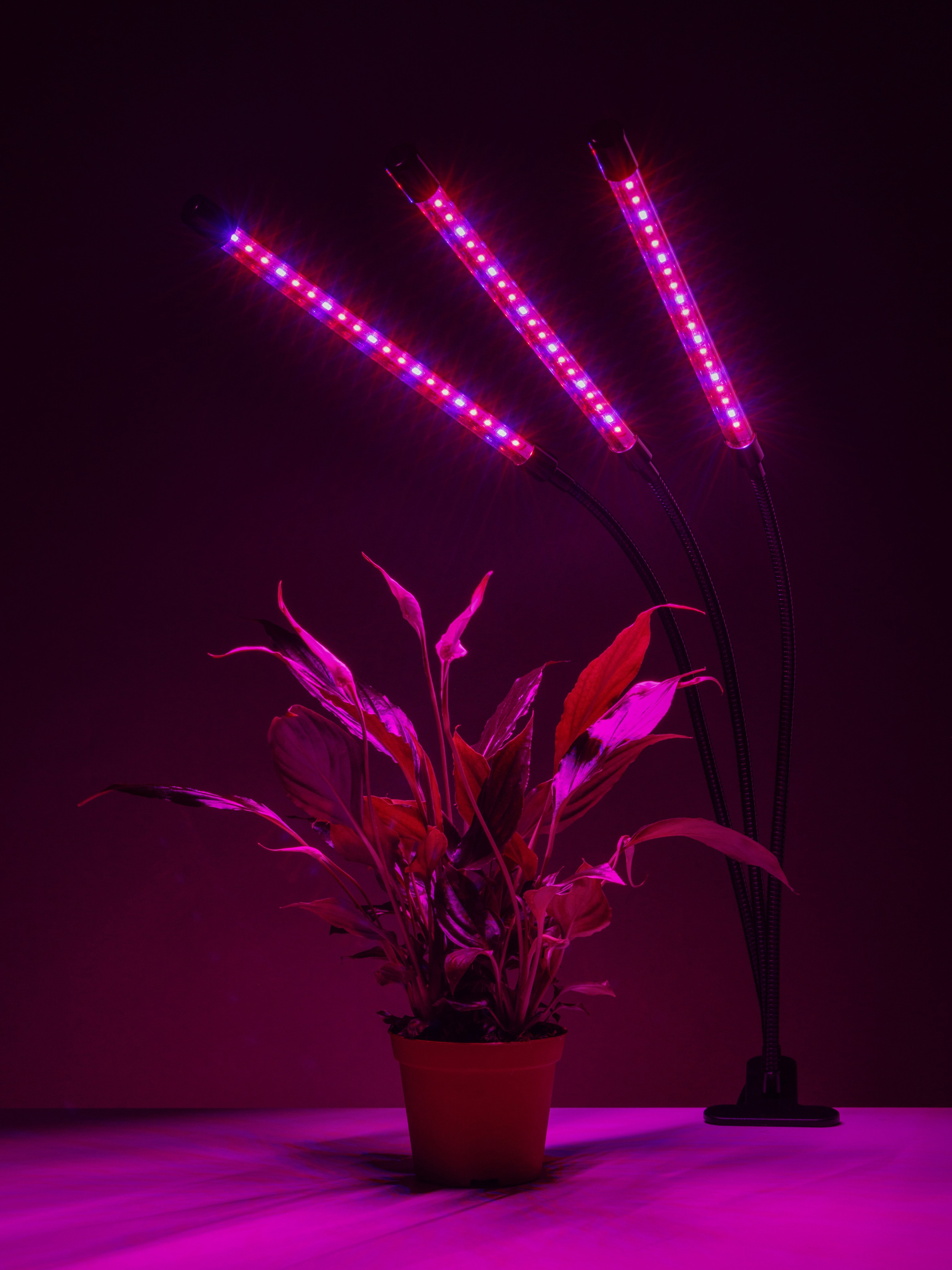 Светильники. Предметный фотограф в Москве Вячеслав Тимошенко