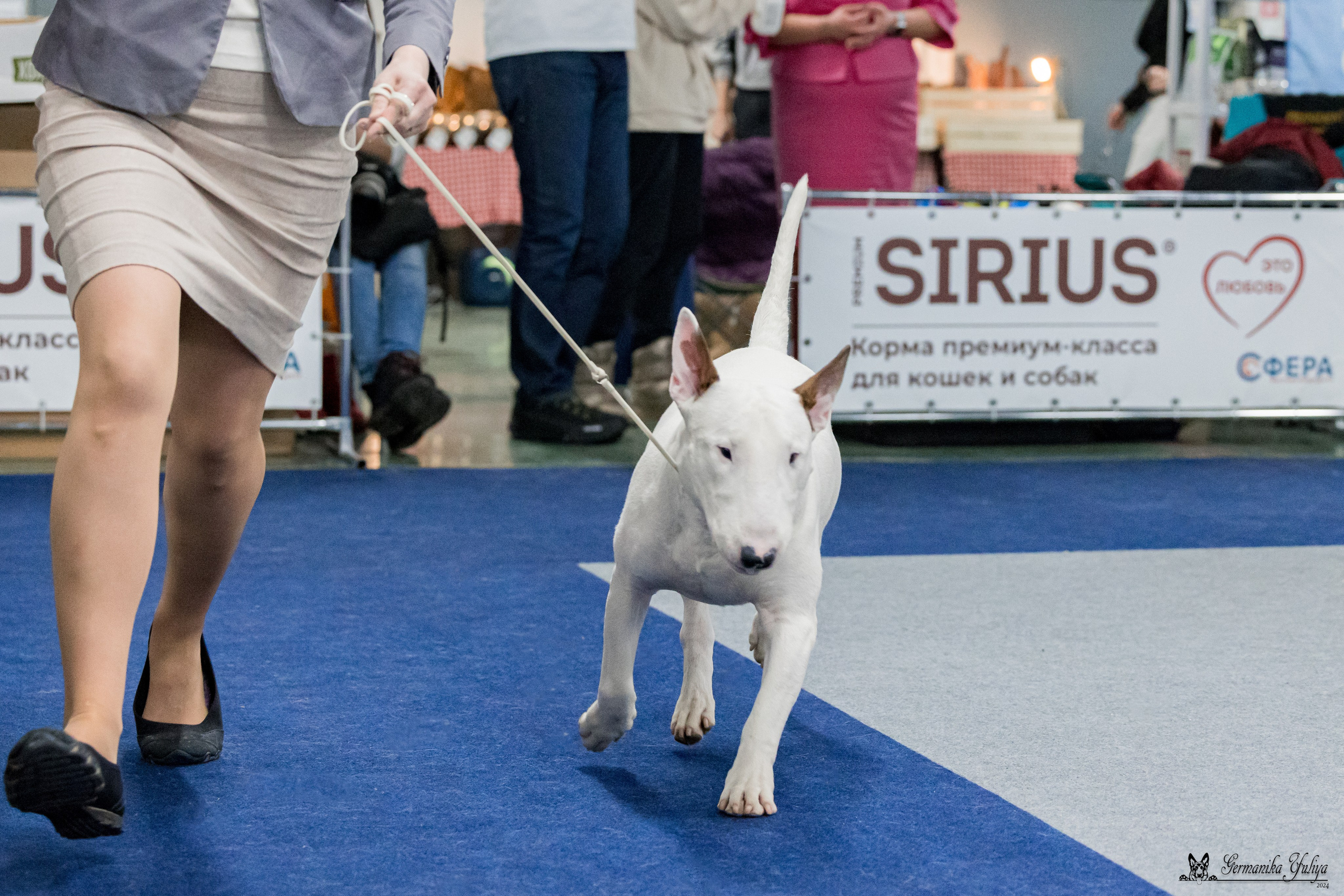 Сфера 28.01. и 4.02.2024. Фотограф-анималист Юлия Германика