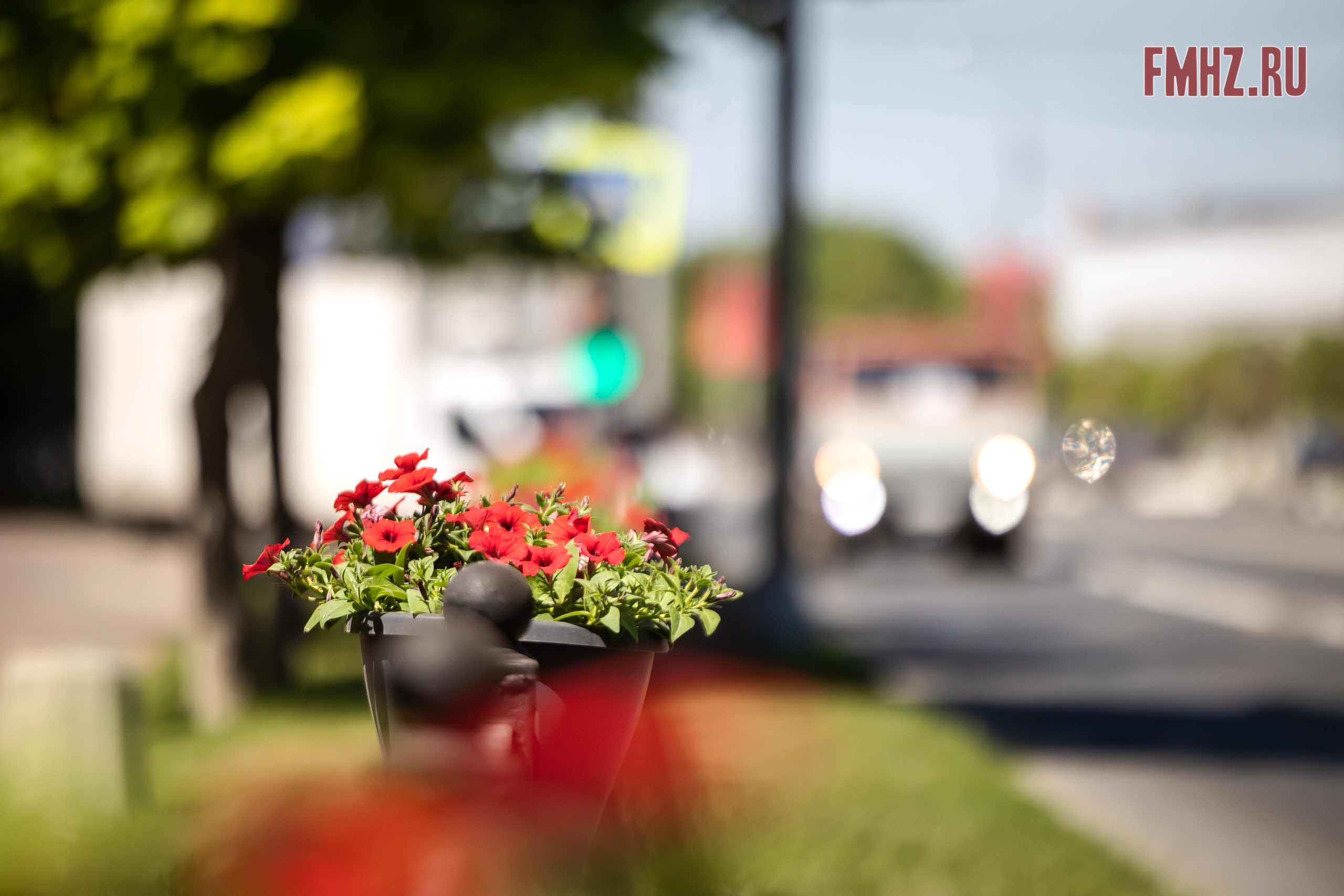 Открытие мотосезона Мотоциклистов г. Домодедово 25.05.24. Фотограф Владимир Охрименко