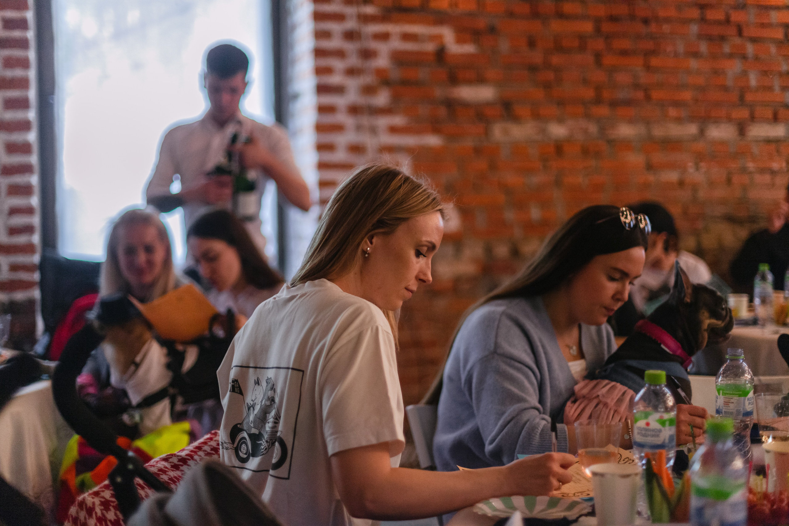 Бульбалл 23.04.2023. Фотограф-анималист Татьяна Степанова