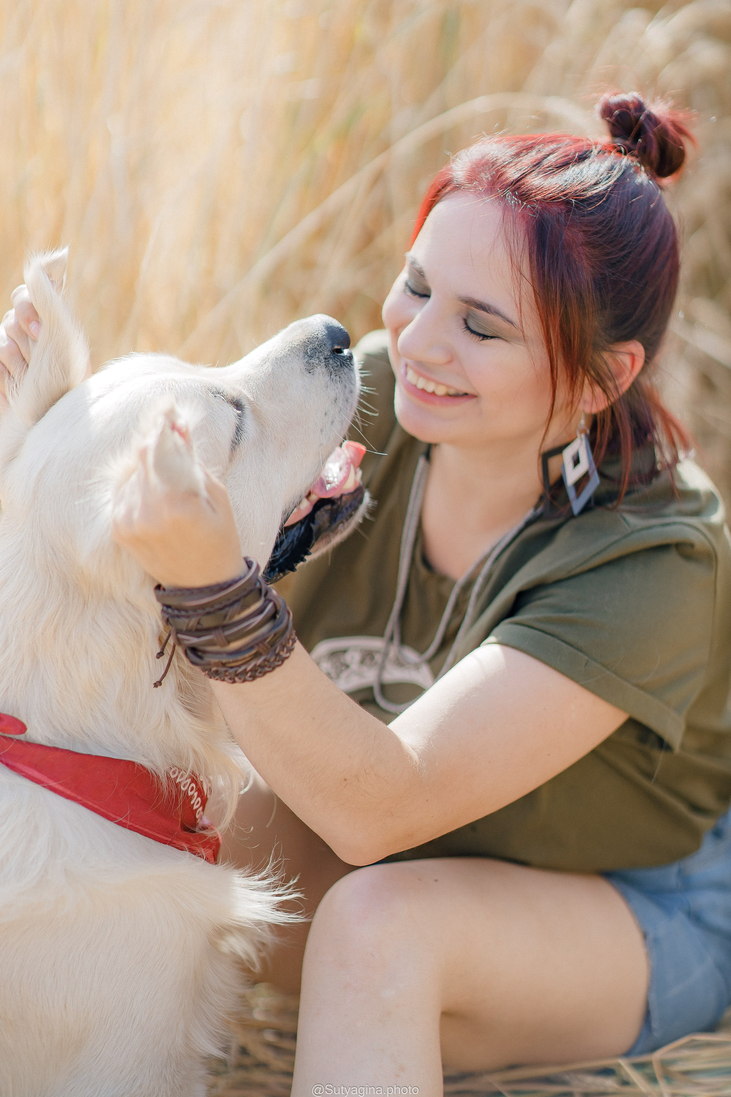 Золотистый ретривер Снежик. Свадебный и женский фотограф