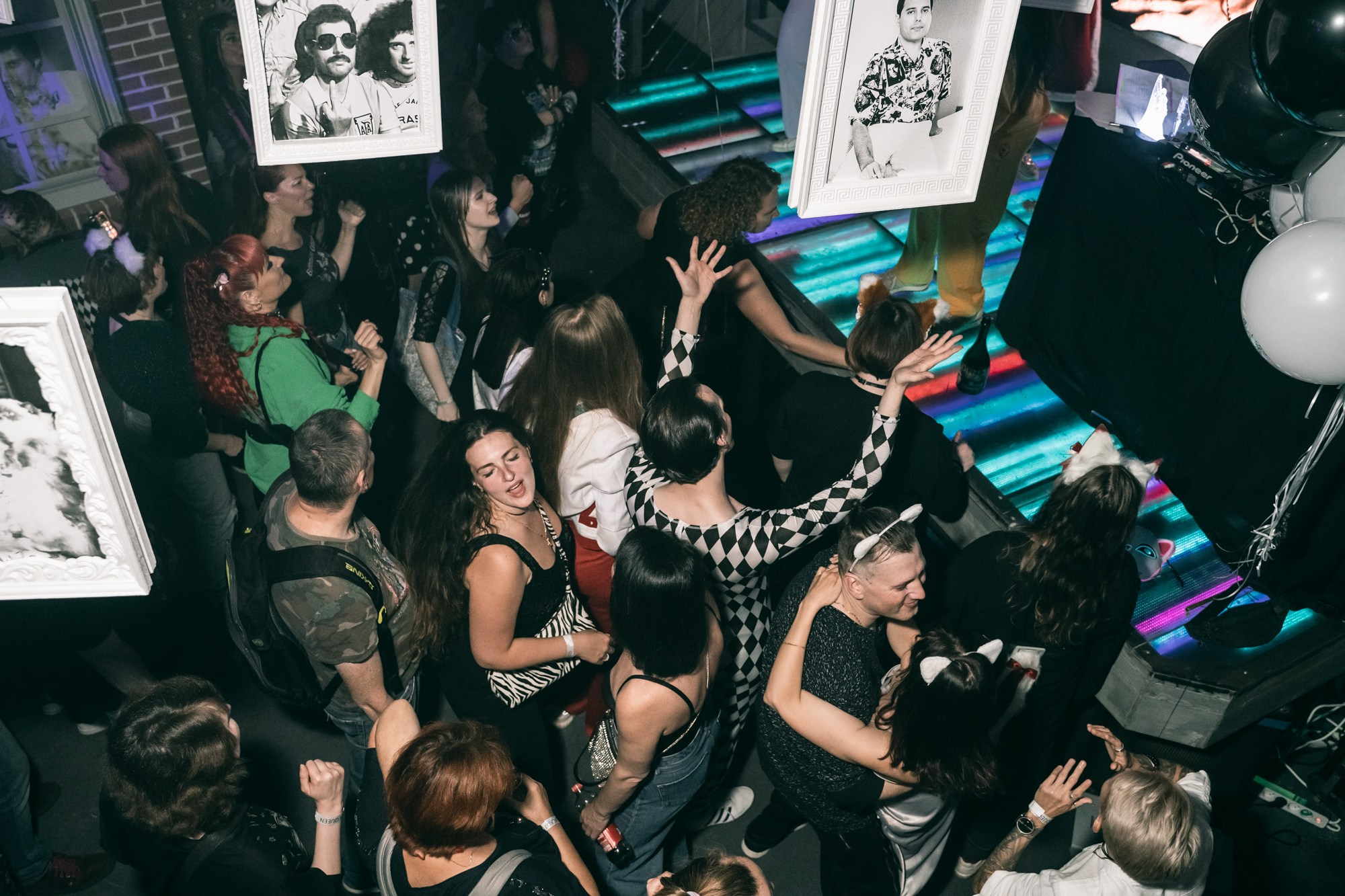 Кошачья вечеринка Freddie Mercury. Марина Маслак портретный, репортажный и семейный фотограф в Москве