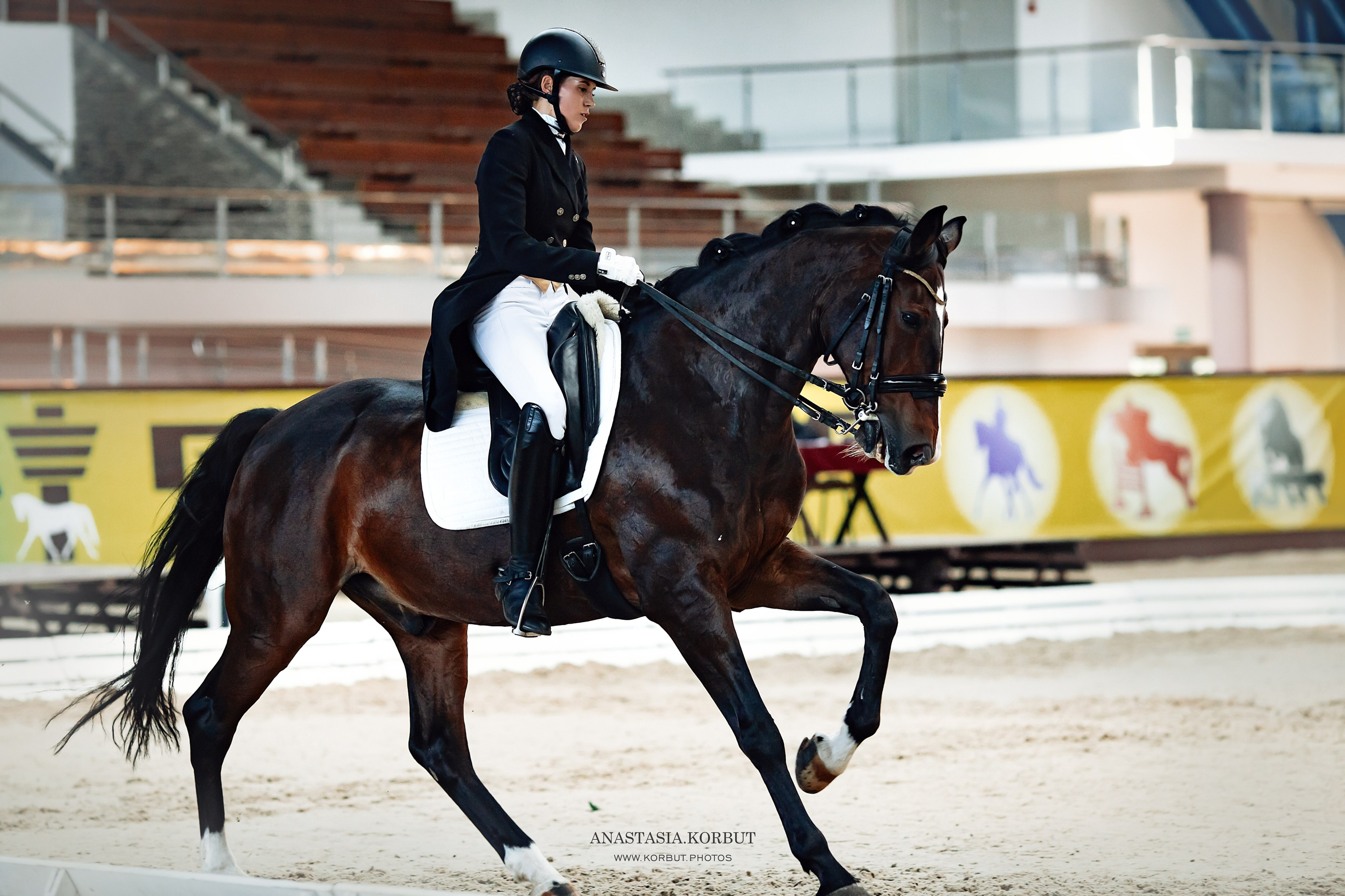 Кубок Доватора 22.09.2023. Арт фотограф в Минске Анастасия Корбут