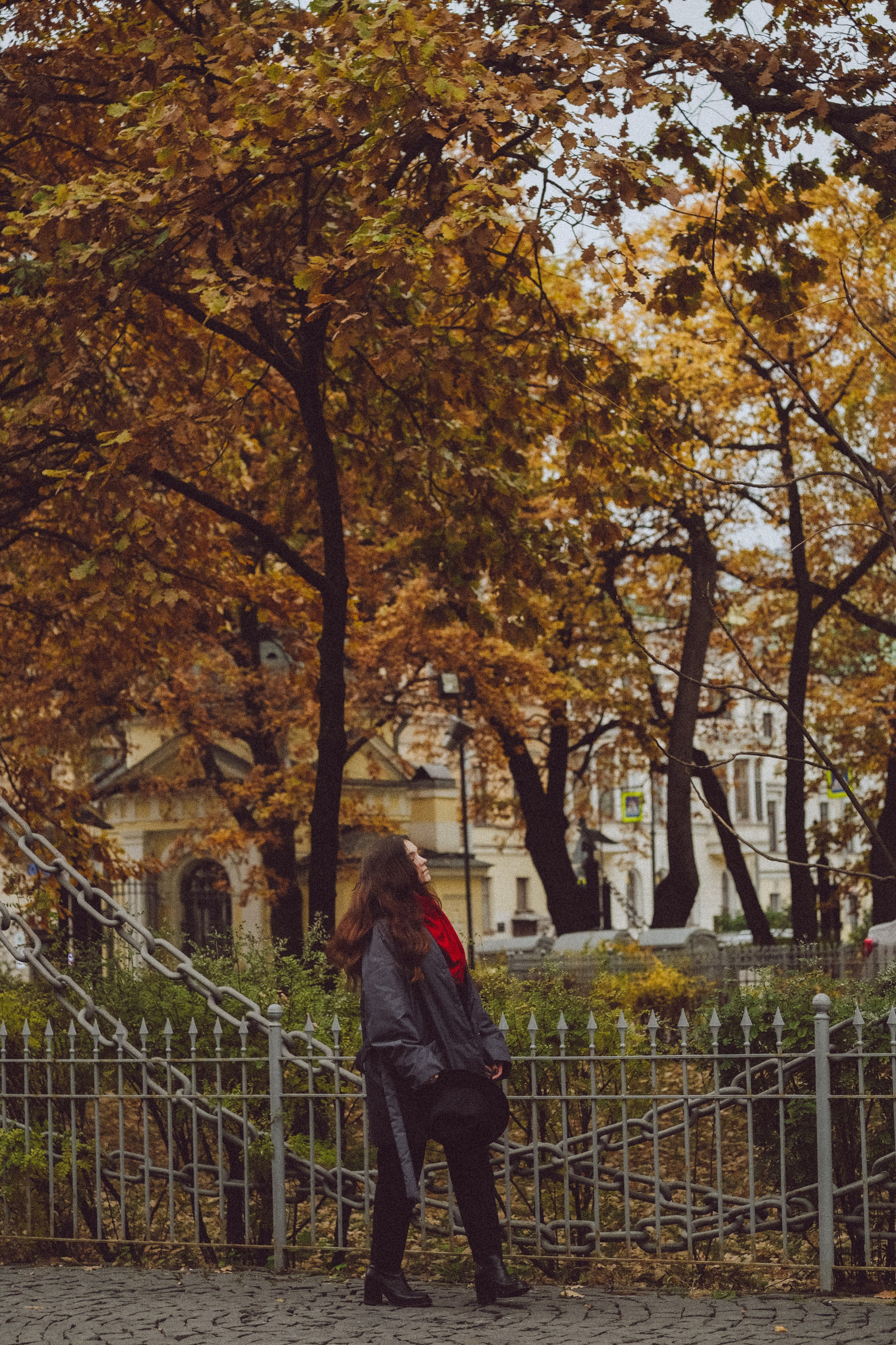 Осень. Профессиональный фотограф, Санкт-Петербург — Виктория Богомолова