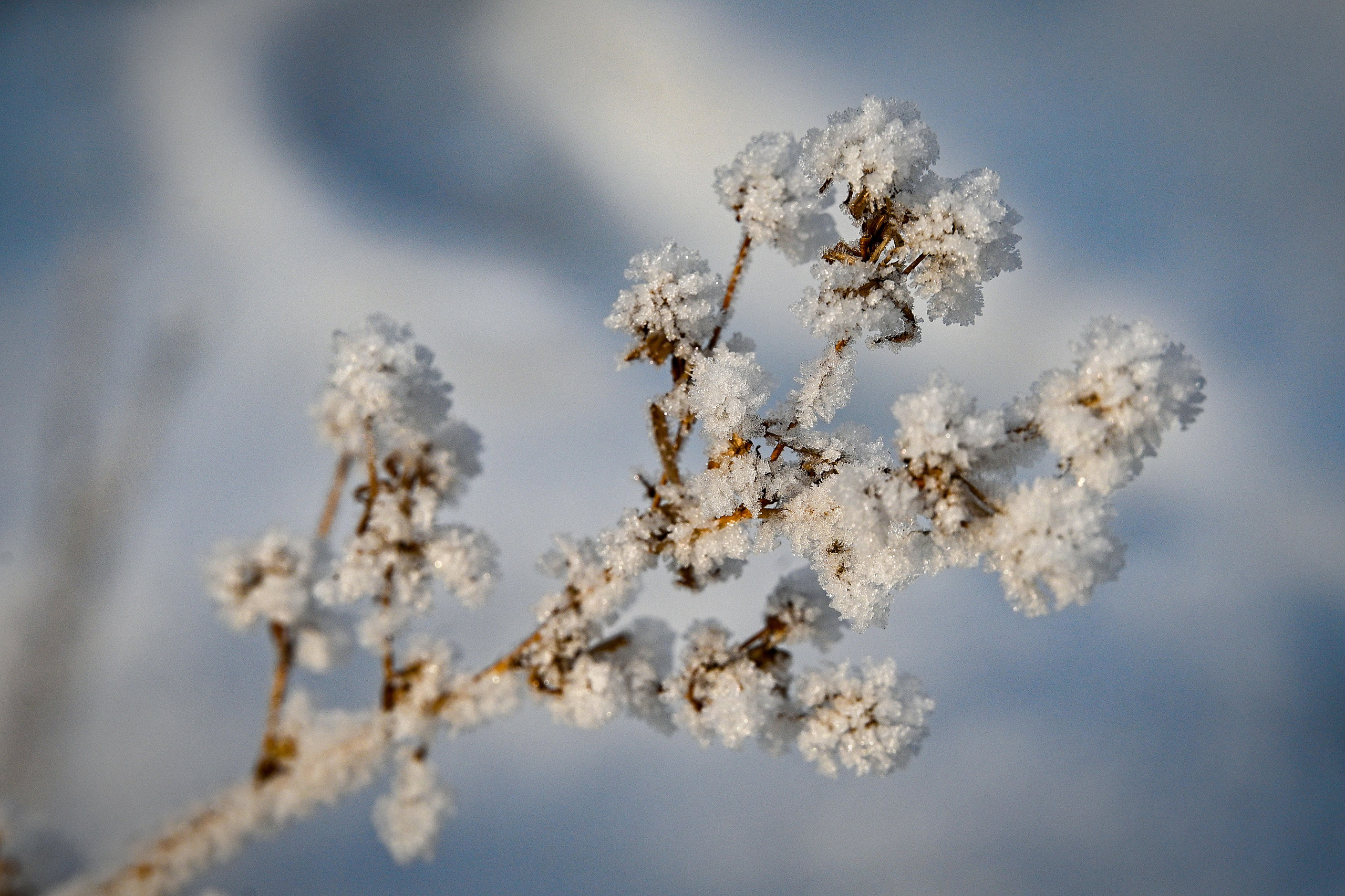Сибирская зима прекрасна!. FotoGraf