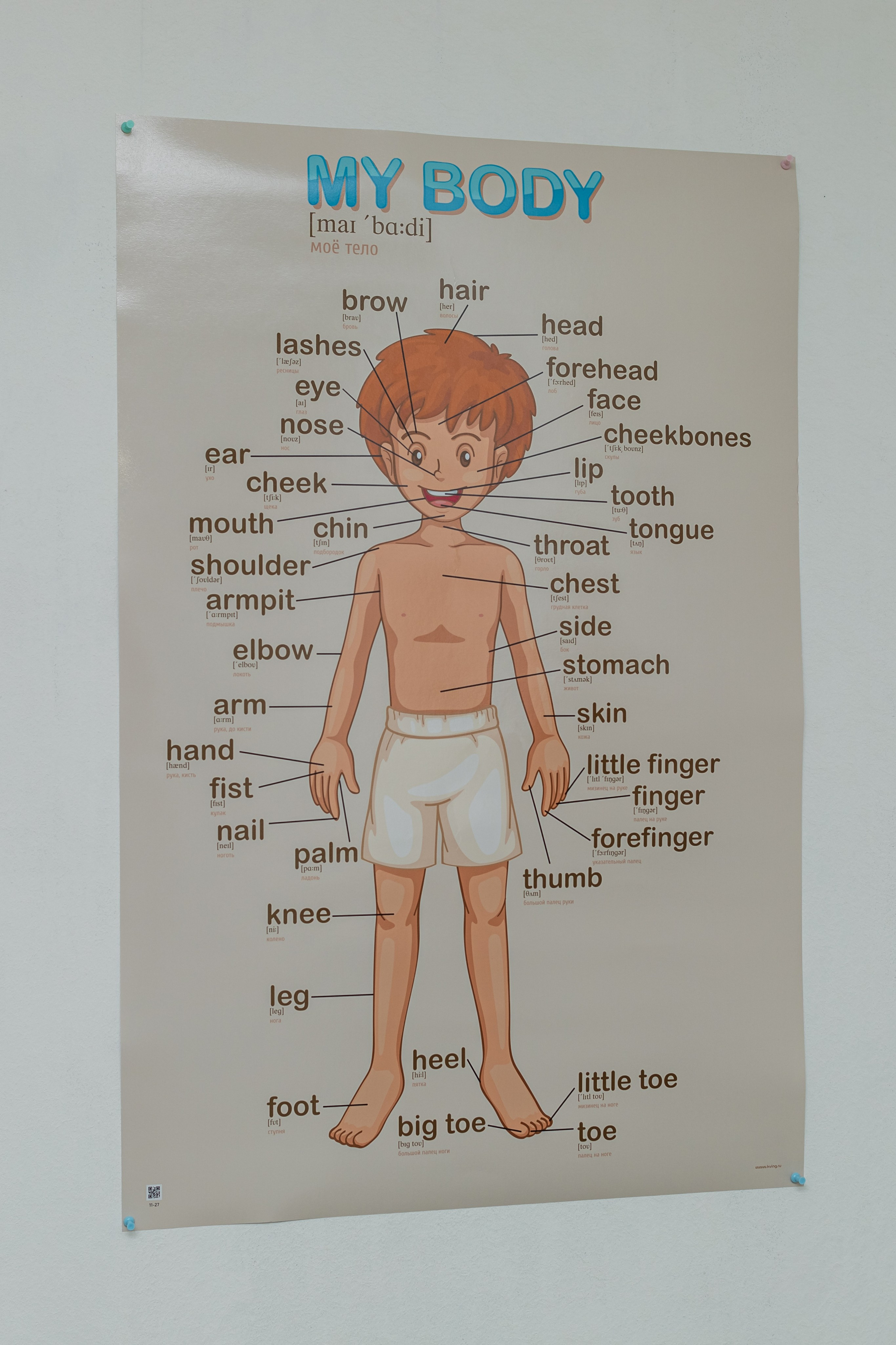 Открытие студии Клевер. Фотограф Алина Гашникова