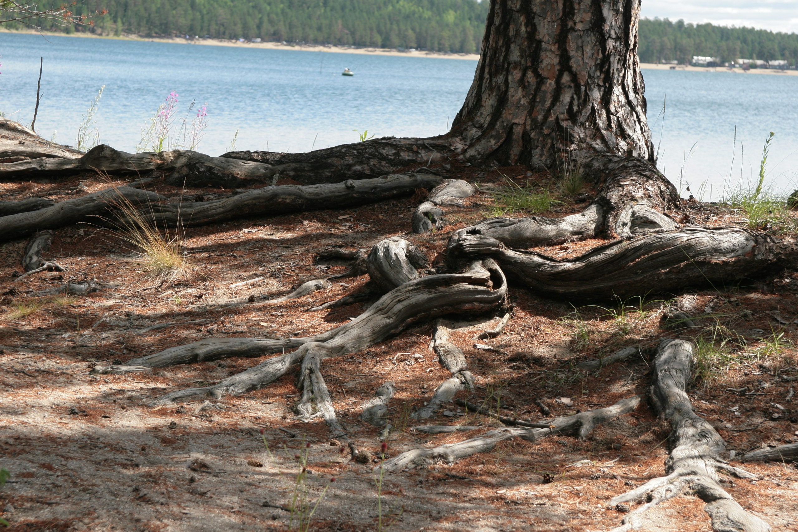 Фото Природы Забайкалья. Студия Максима Белослюдцева