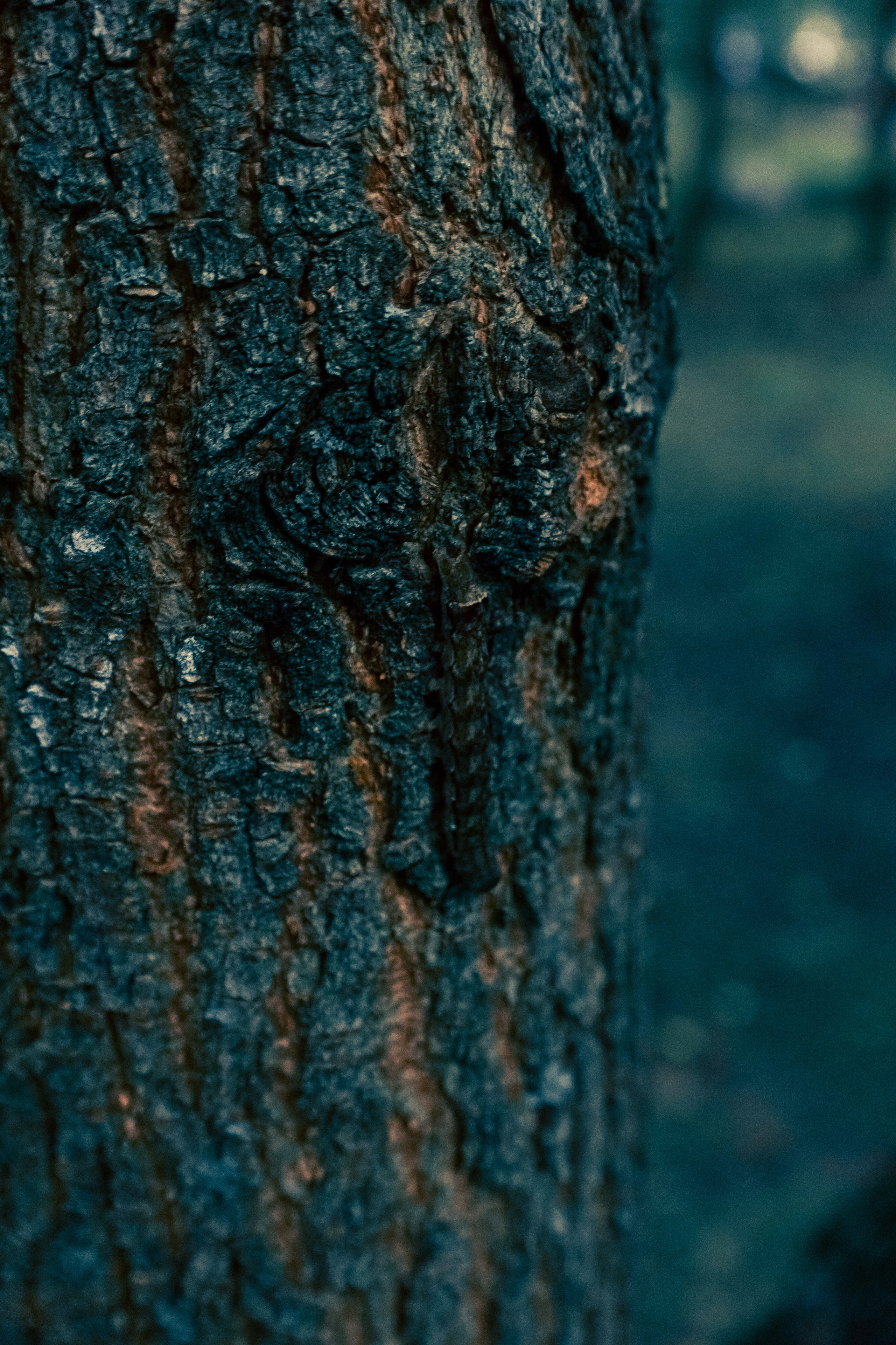 Парк Хуамин. Фотограф Алиса Аспер