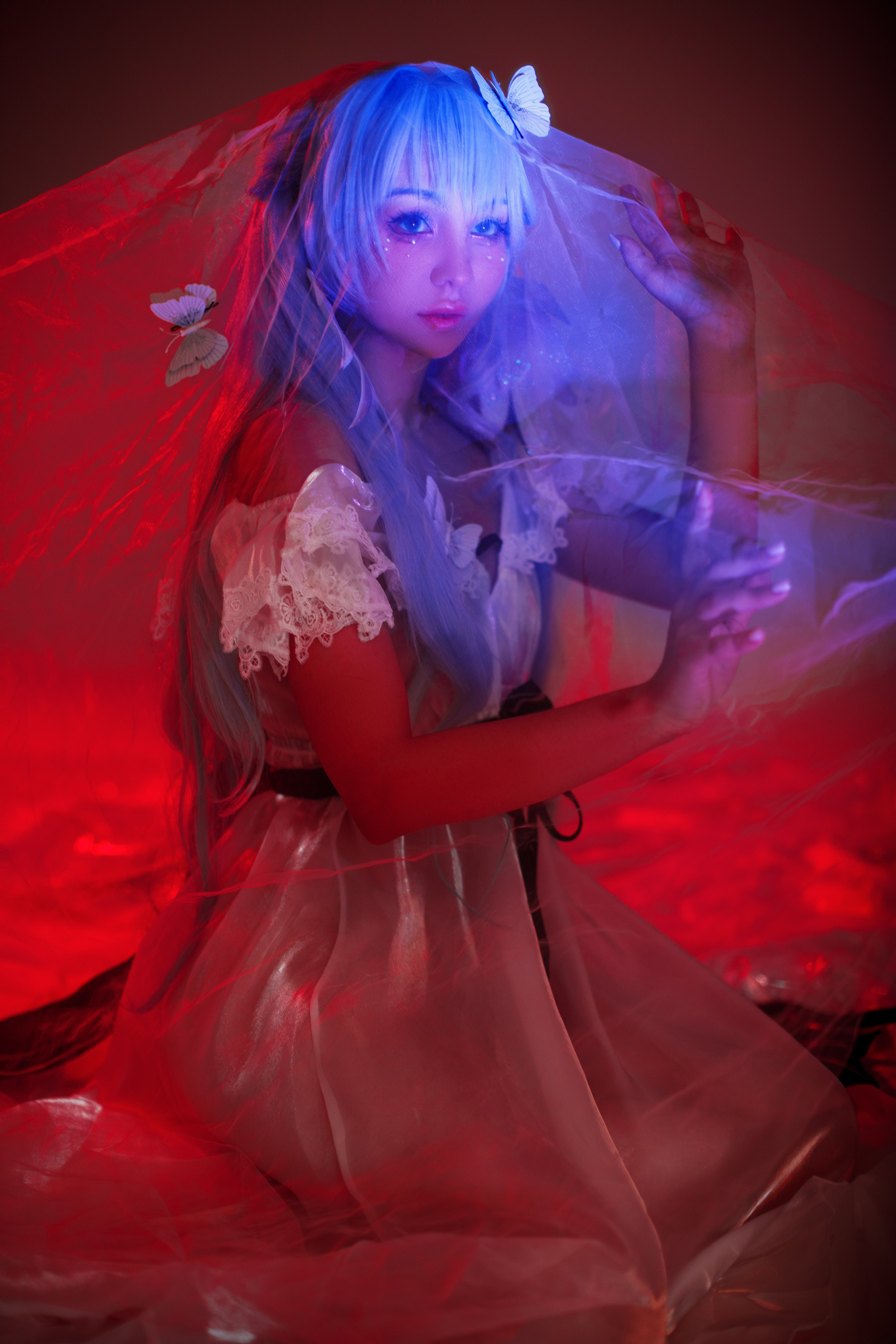 HSR: Robin. Polaroud love