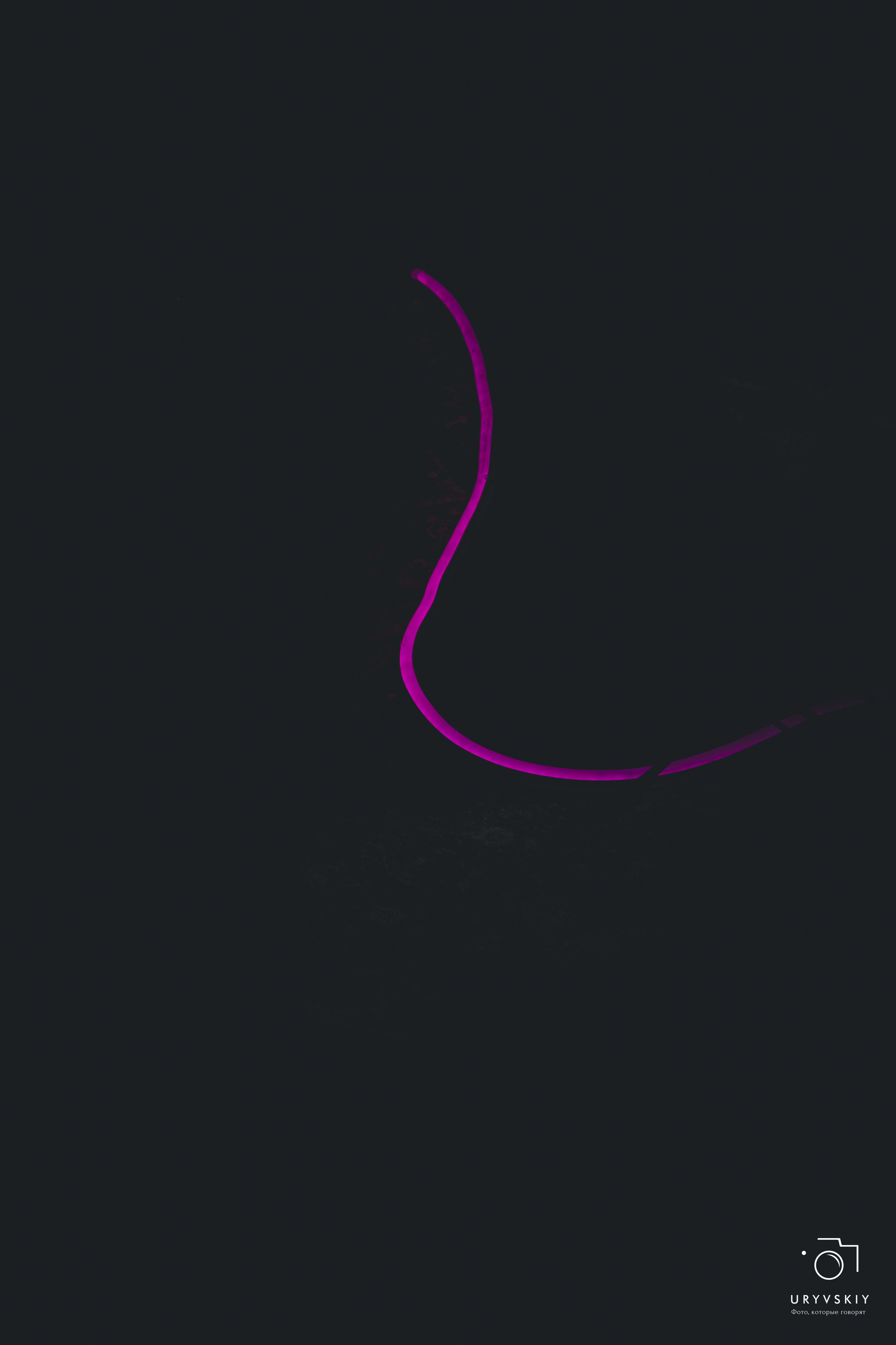 Фестиваль современного городского искусства «ИСКРА». Игорь Урывский. Фотограф Красноярск