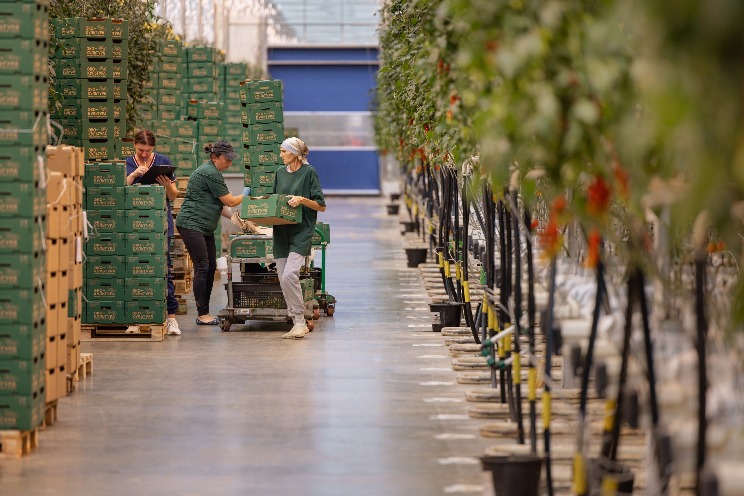 Производство. Фотограф Николай Петрушкин | Ставрополь, Москва