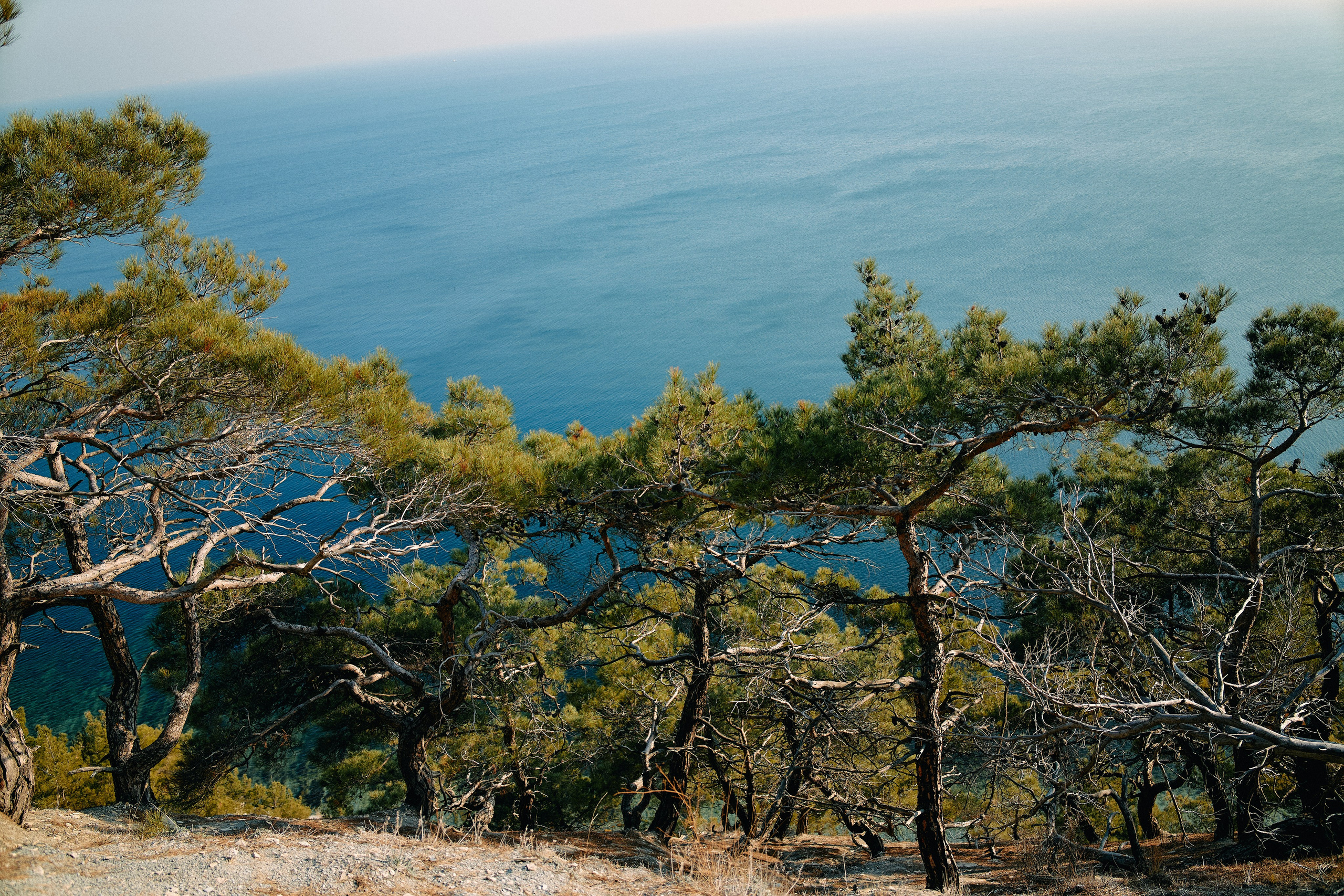 Юг России. Профессиональный Фотограф во Владимире, в Москве и в Суздале — Полина Романычева