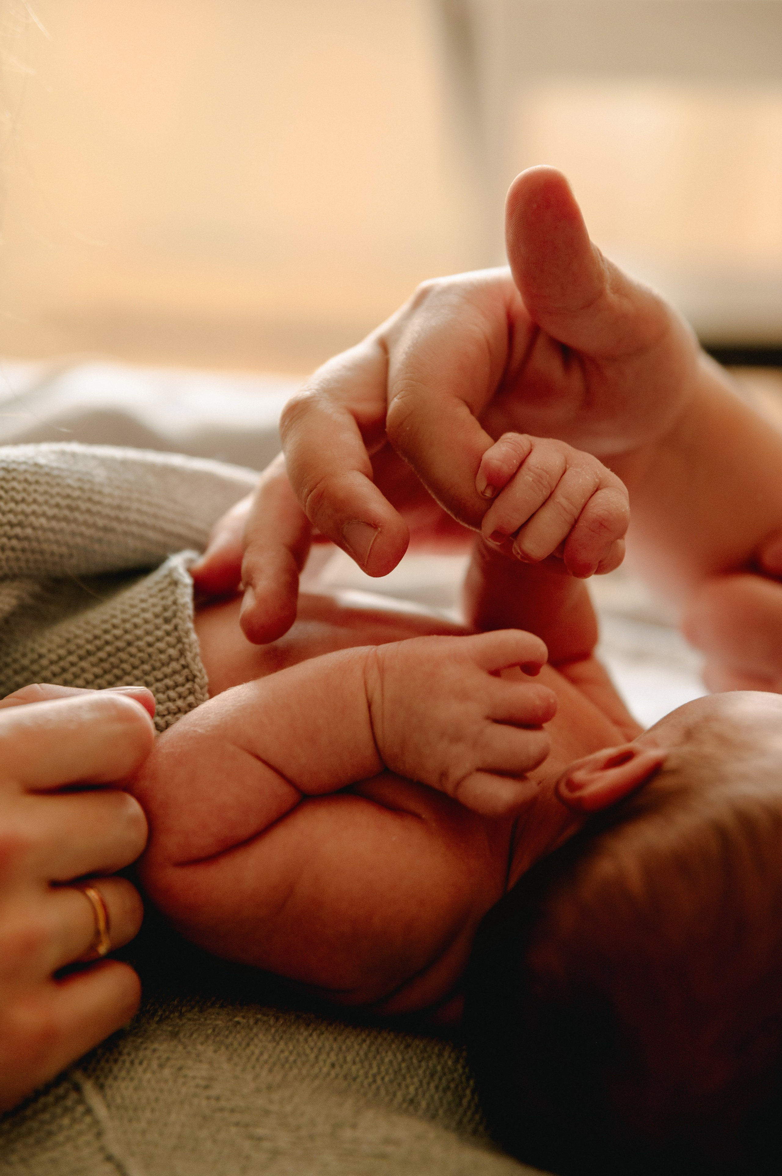 КАТЯ, КОЛЯ И ЗЛАТА. Шашкова Вероника / Свадебный и семейный фотограф Москва и Ярославль