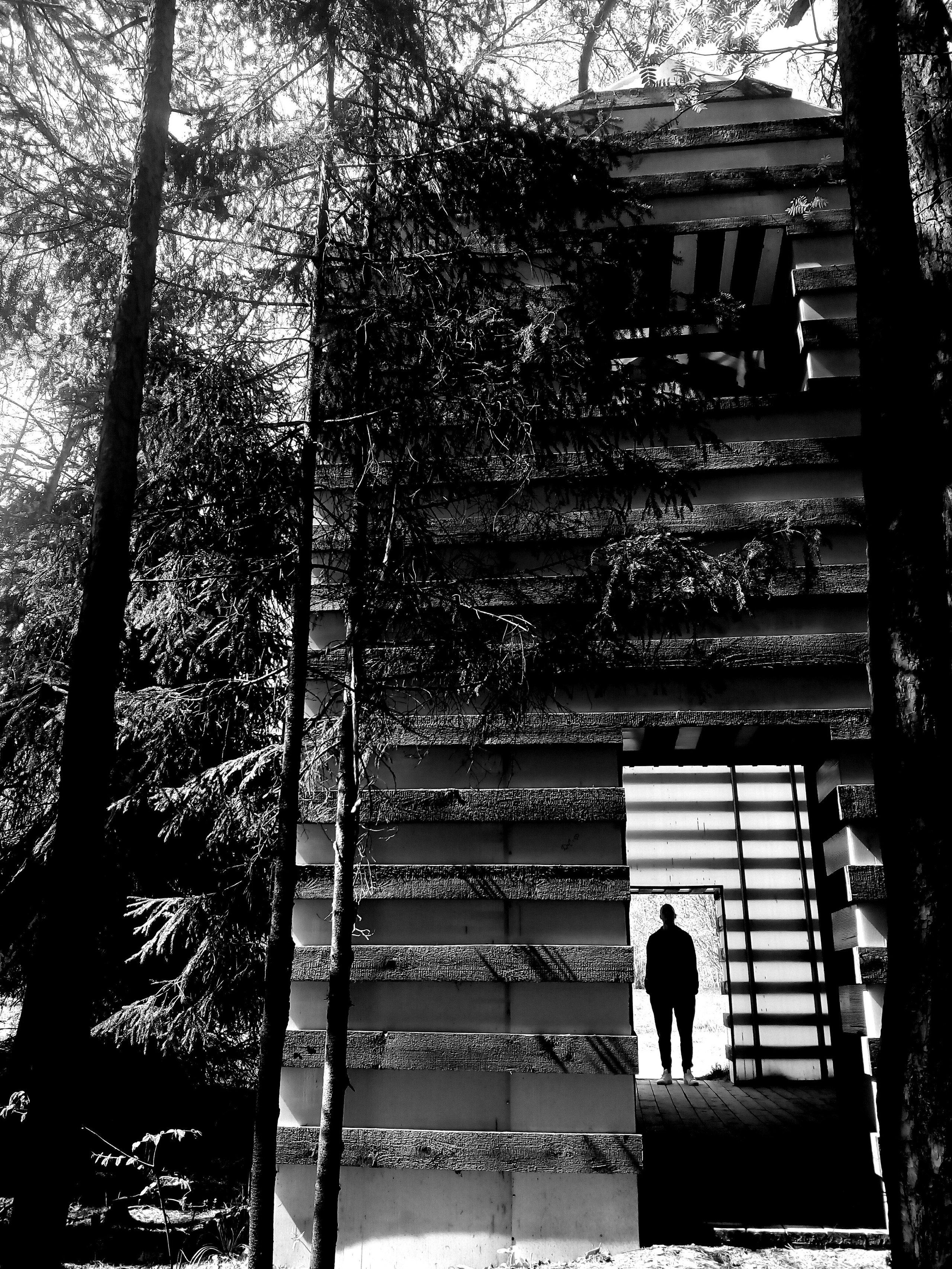 Фотографии. Детский и семейный фотограф Зоя Павкина