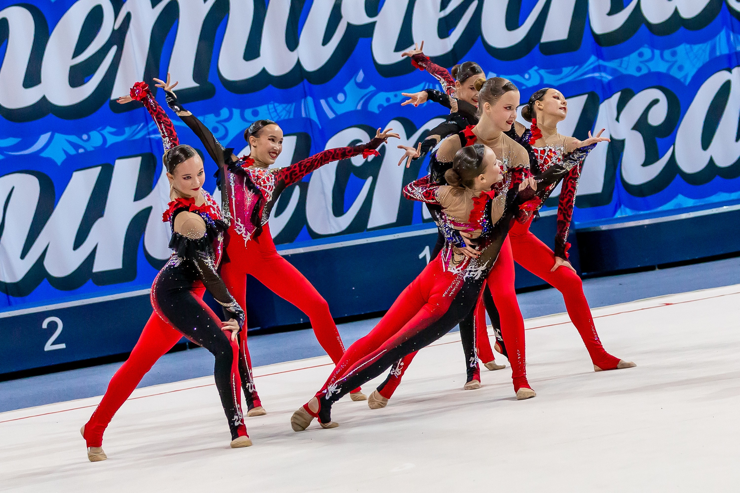 Традиционный турнир по эстетической гимнастике «ТУЛЬСКИЙ СУВЕНИР», 07 декабря 2025 г., Тула. GYM-PHOTO. Спорт в кадре