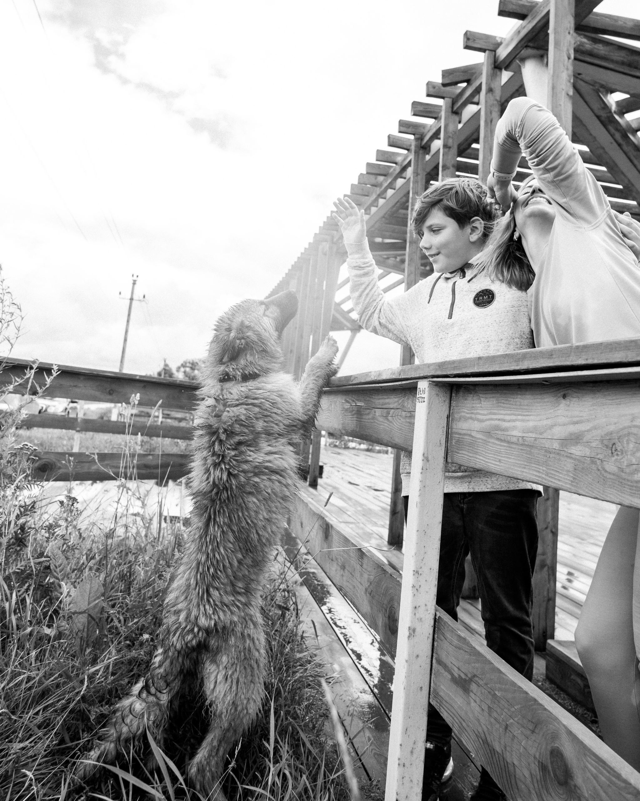 Семья и дети. Фотограф в Москве и Перми, Алина Гимадиева