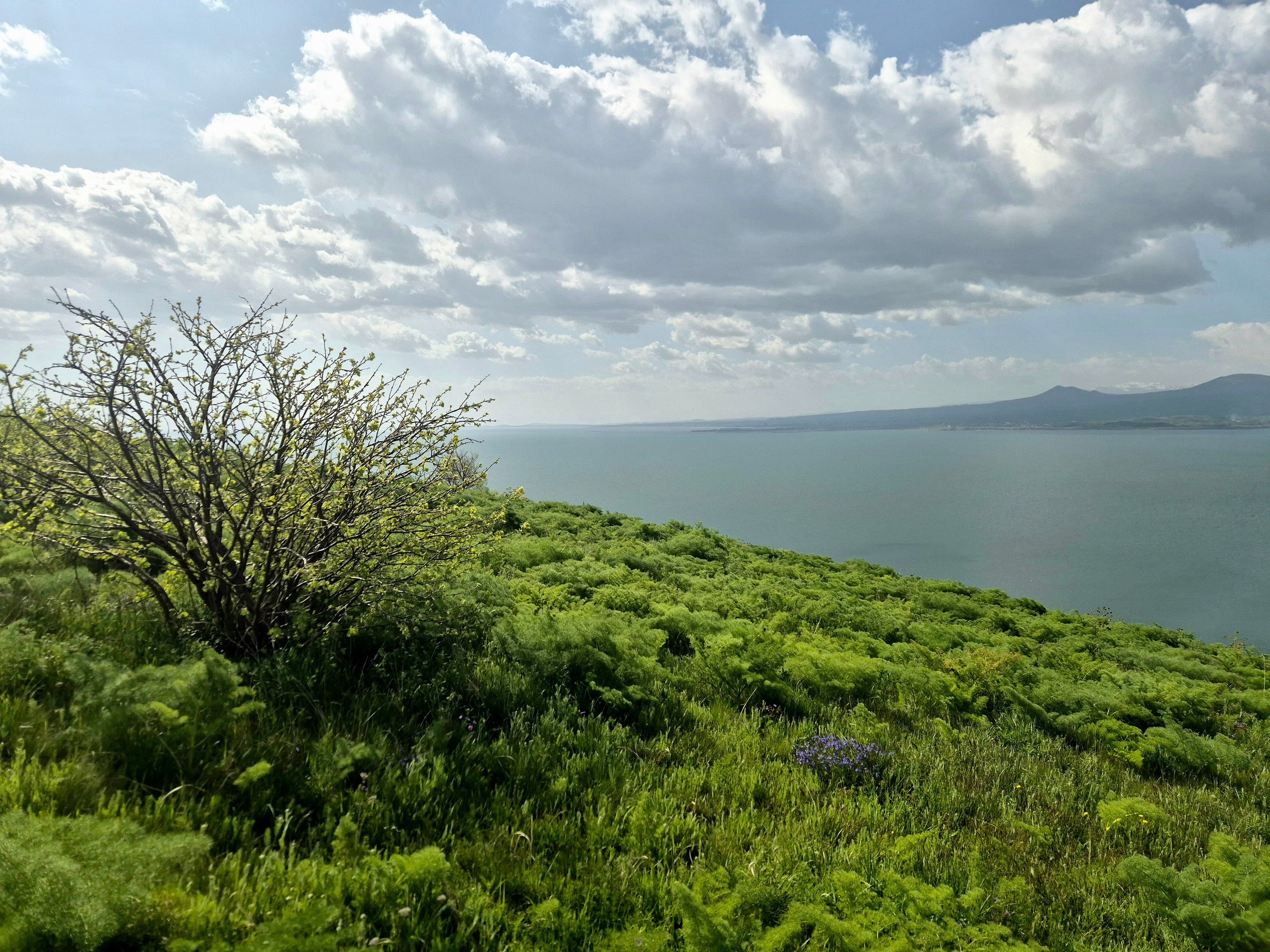 На вершине - тишина, покой, соединение всех стихий - воды, ветра, неба, солнца. Оно стирает границы времени, соединяя прошлое и настоящее, мгновение сейчас - и будущее, впитывая и делясь эмоциями, чувствами, энергией и силой