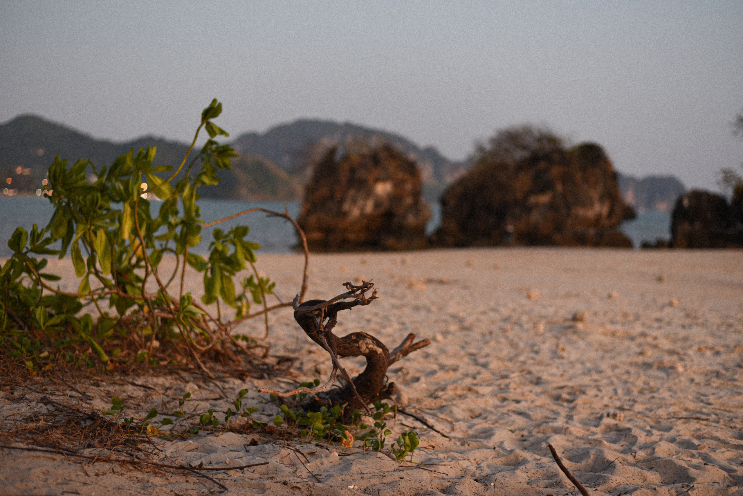 Фотографии из путешествий