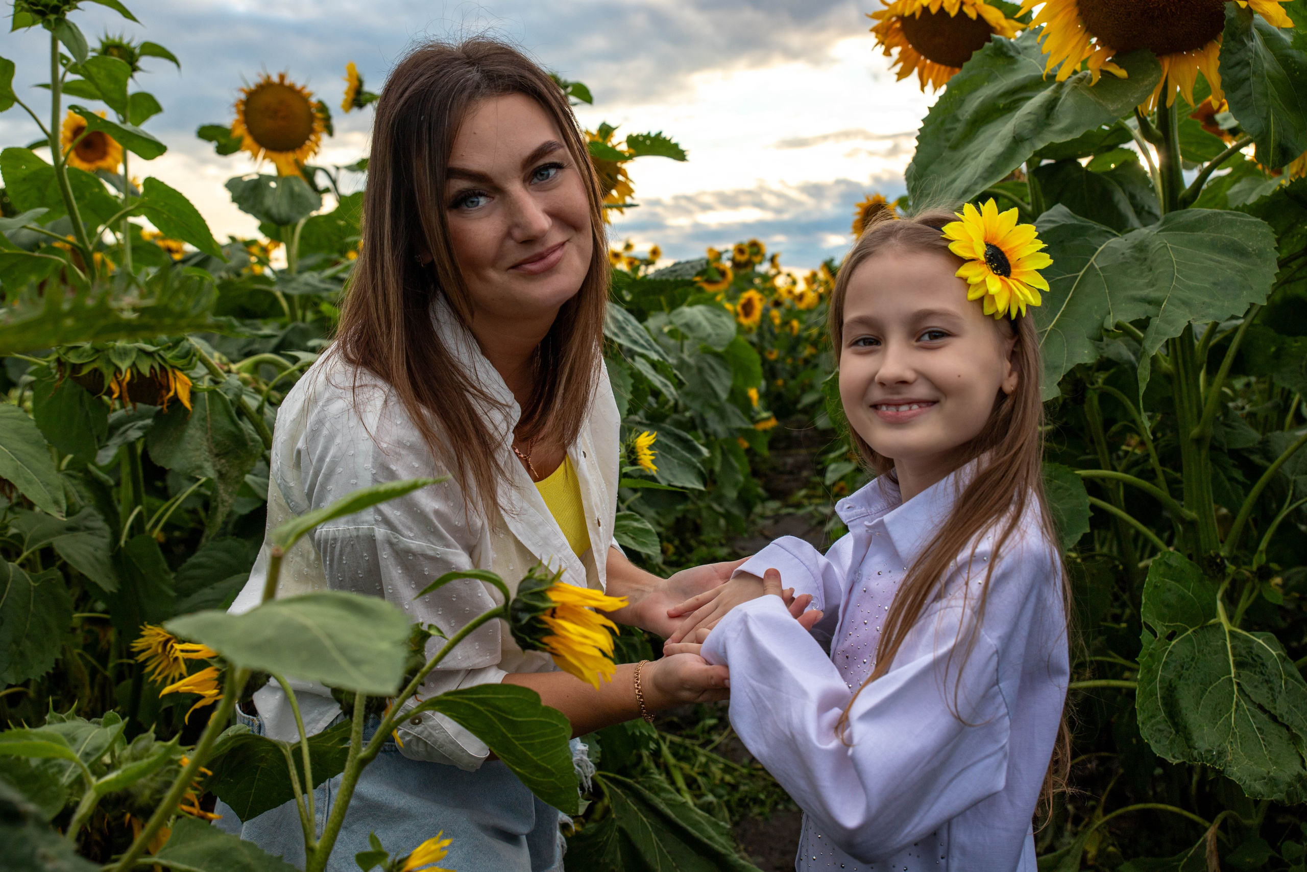 Фотосет в подсолнухах. Алена и Арина. Фотограф Лапочкина Татьяна