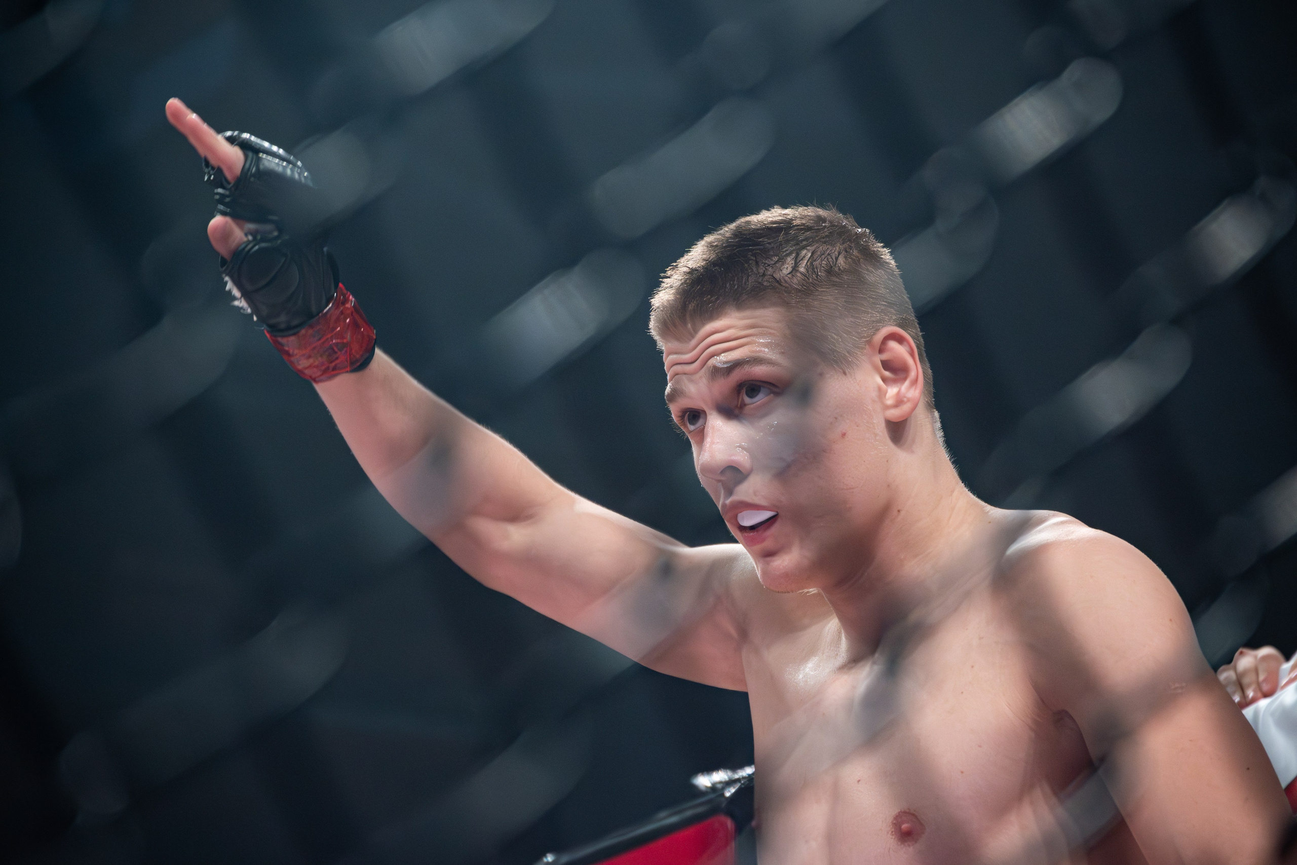 ПАНКРАТИОН. Репортажный фотограф Владислав Остерман