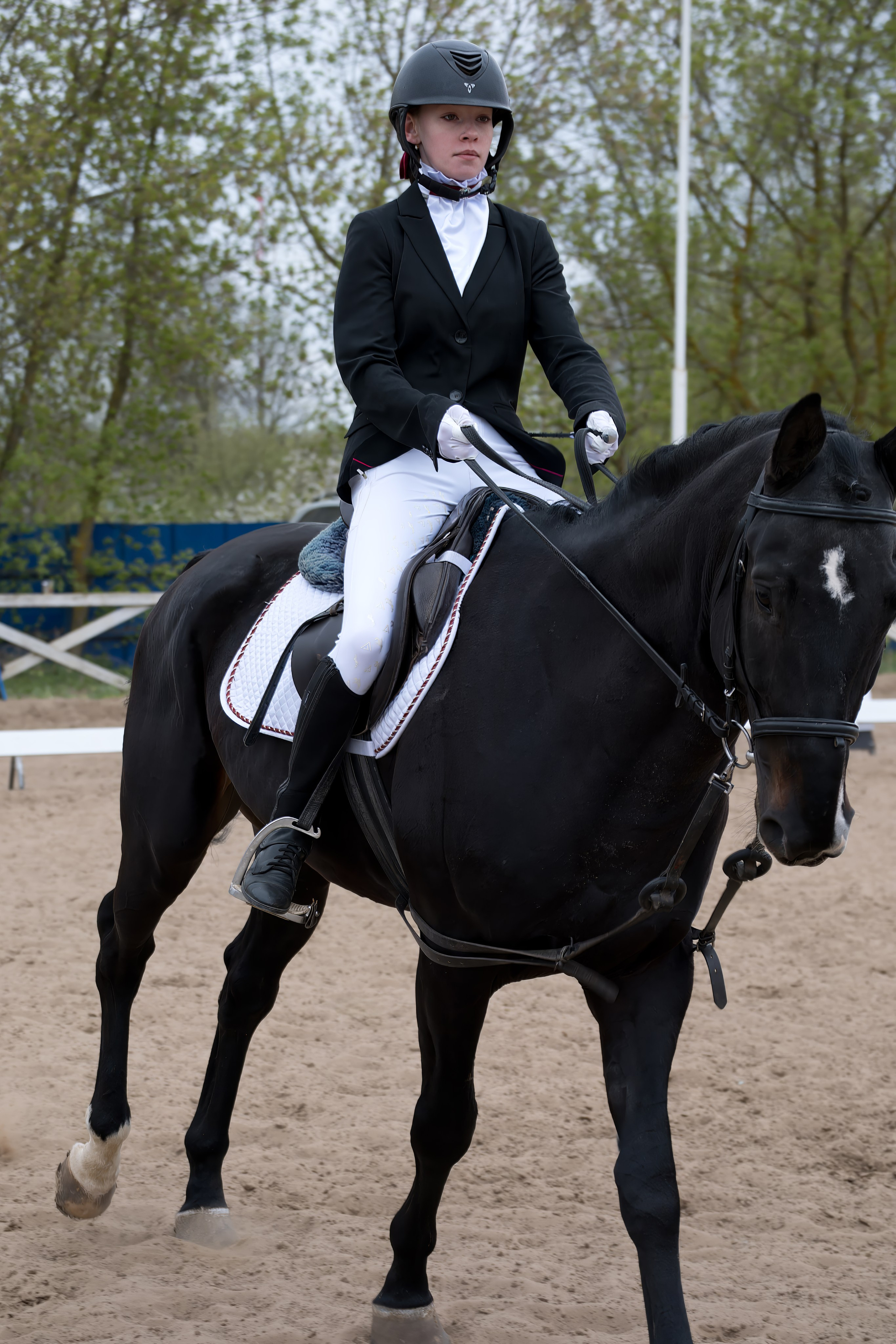 Соревнования по конному спорту в КСК «АЛЛЮР»!. Добро пожаловать в студию «Цифровой скульптор»  где искусство встречается с технологиями!