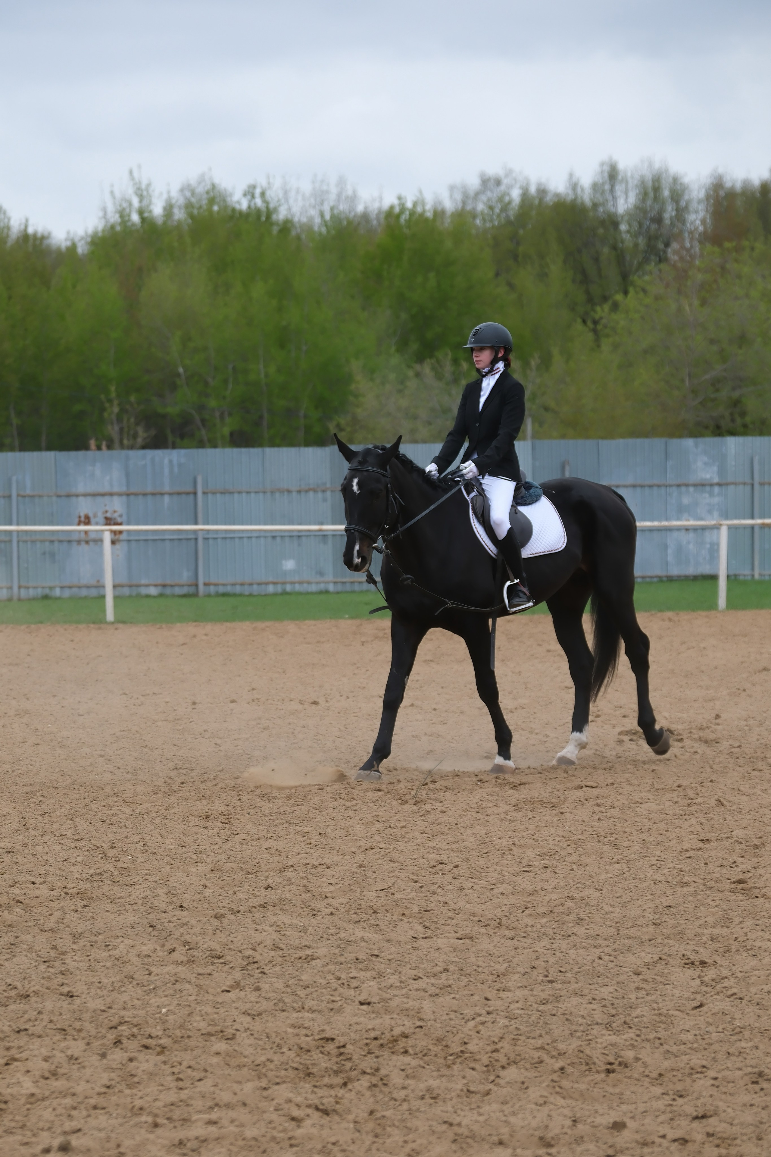 Соревнования по конному спорту в КСК «АЛЛЮР»!. Добро пожаловать в студию «Цифровой скульптор»  где искусство встречается с технологиями!