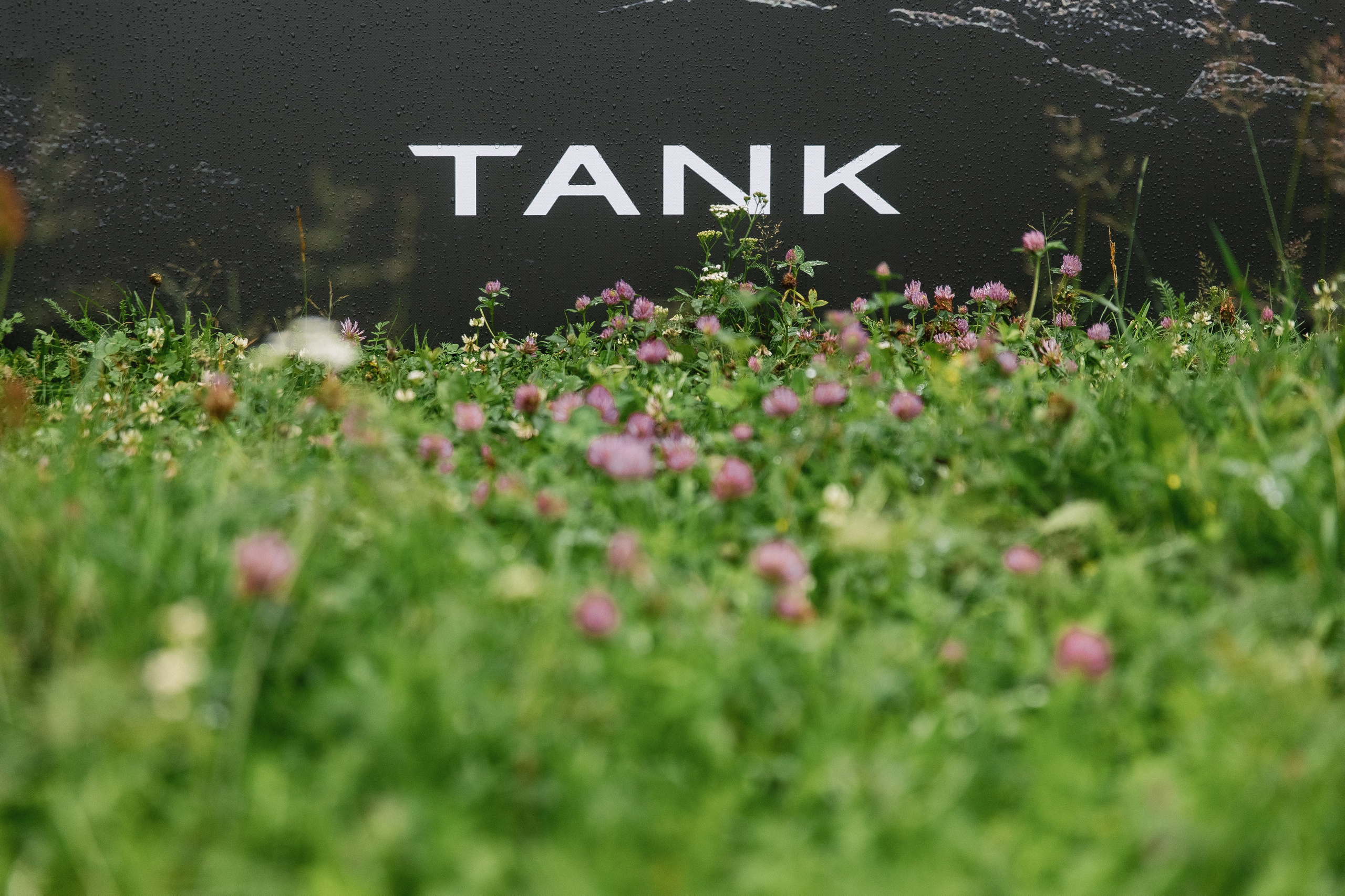 Тест драйв TANK