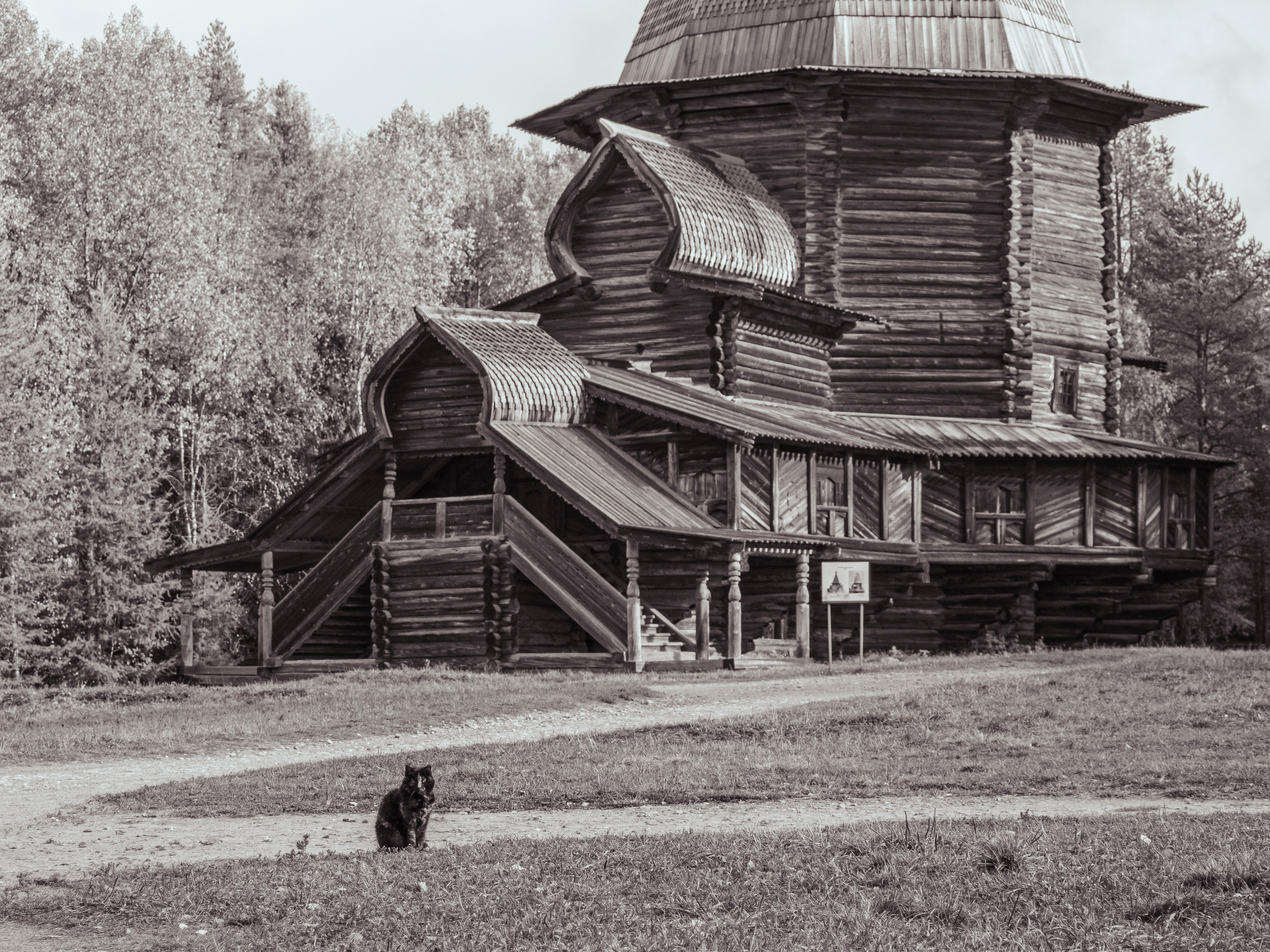 Малые Корелы. Вижу