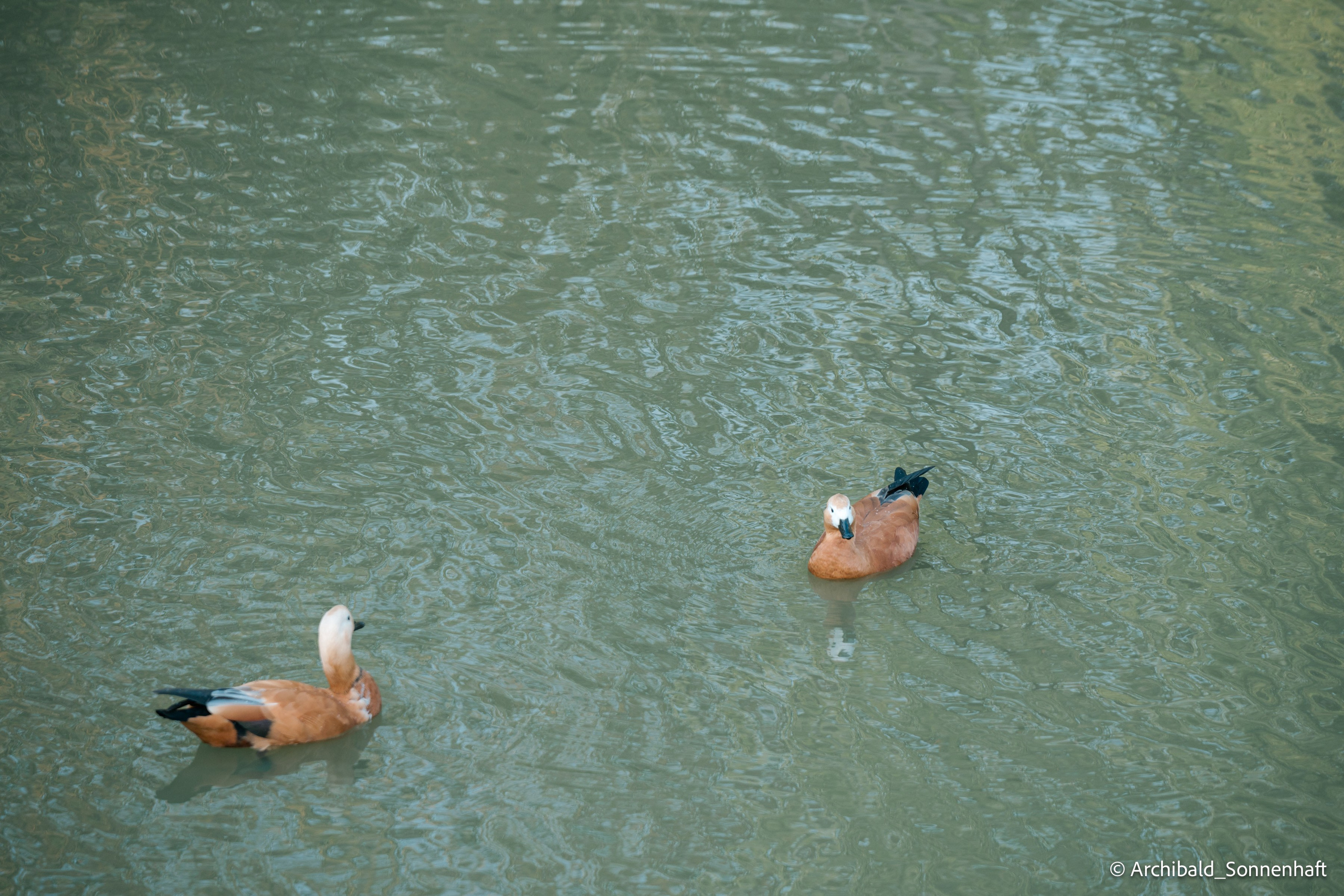 Walk around ShuiShan park. Photographer in Guangzhou, China. Archibald Sonnenhaft