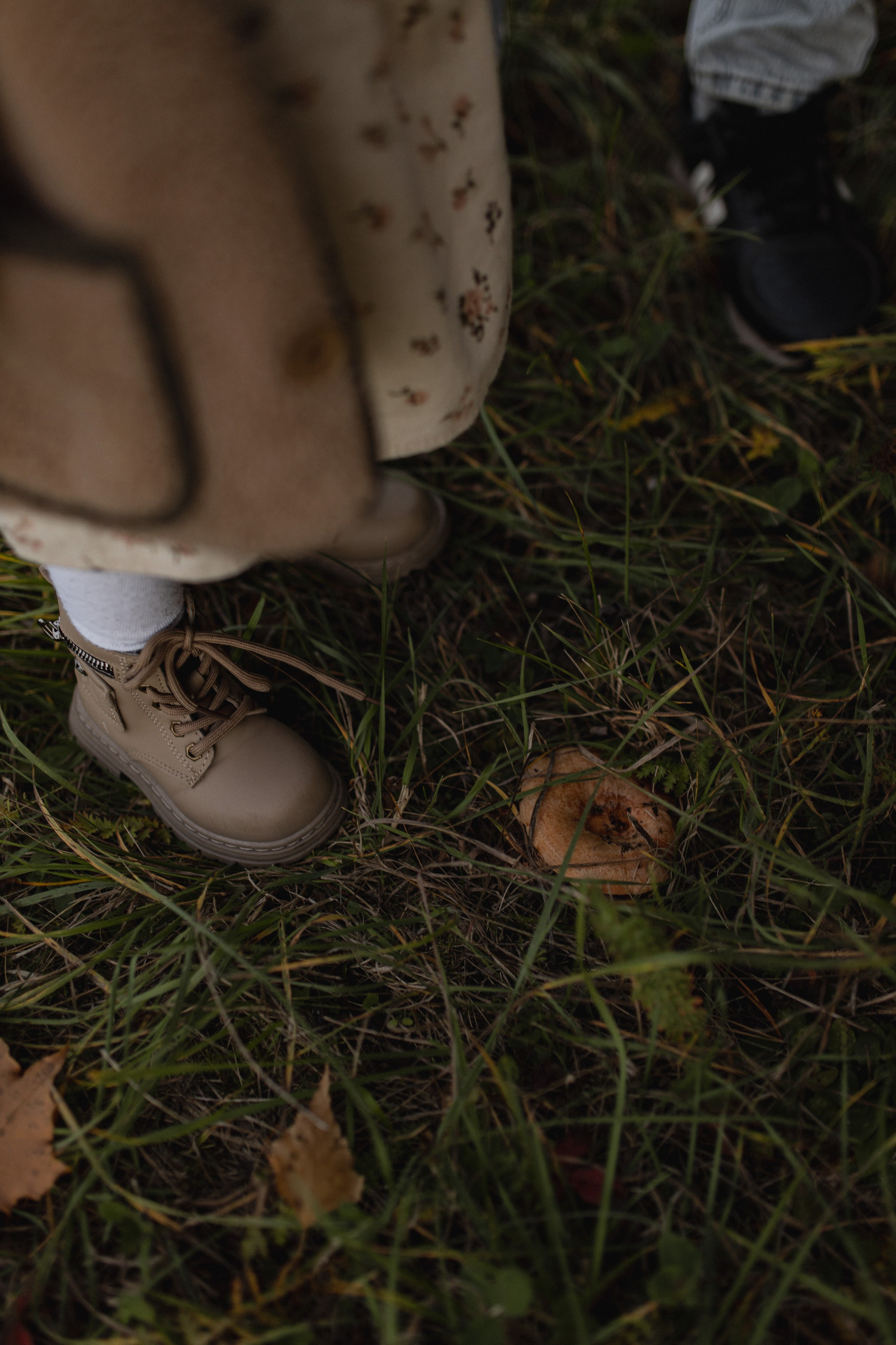 Autumn. Оксана Вахидова Фотограф Кумертау, Уфа, Мелеуз, Салават
