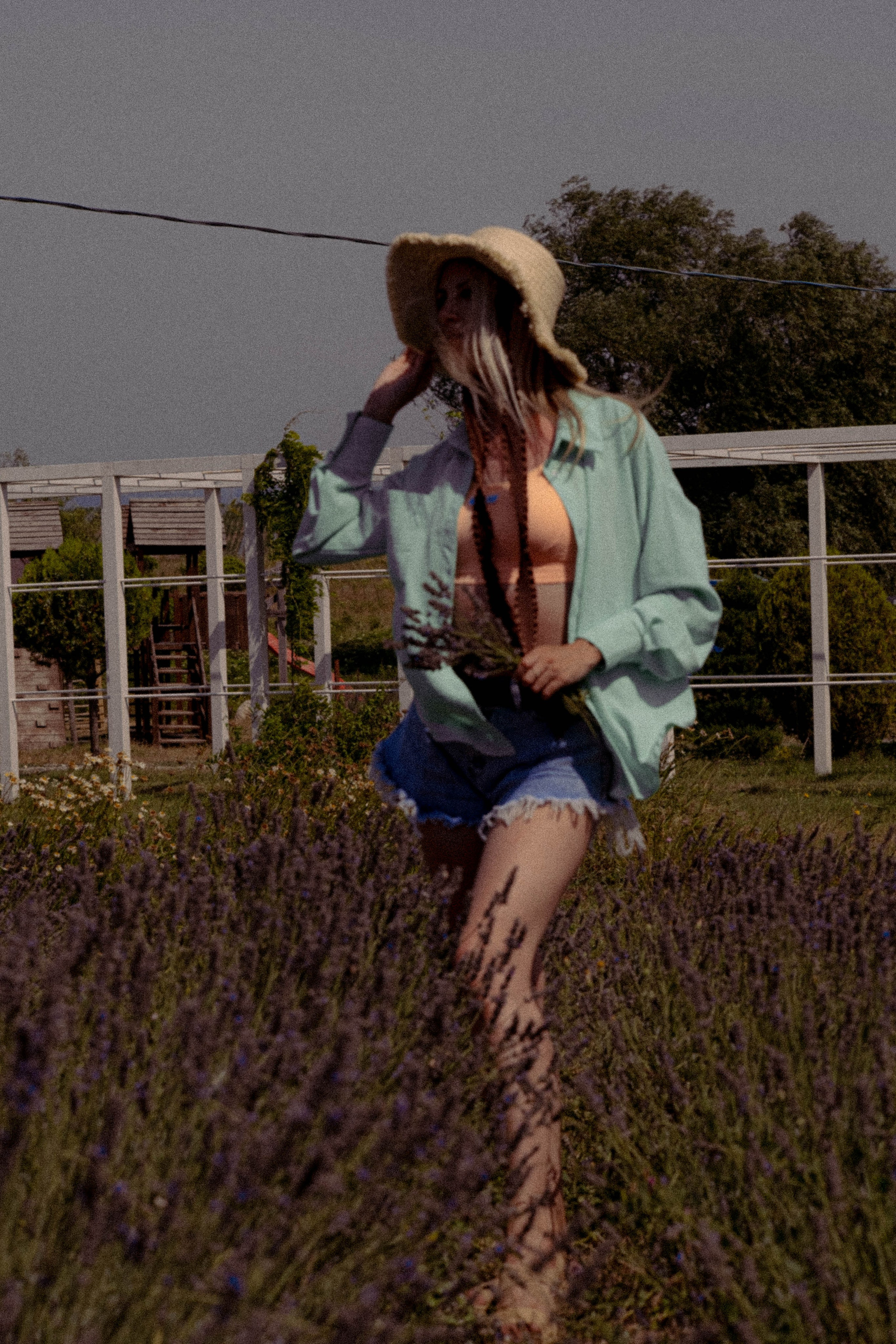 ЛАВАНВОДОВОЕ ПОЛЕ. Профессиональный фотограф, Санкт-Петербург — Виктория Богомолова