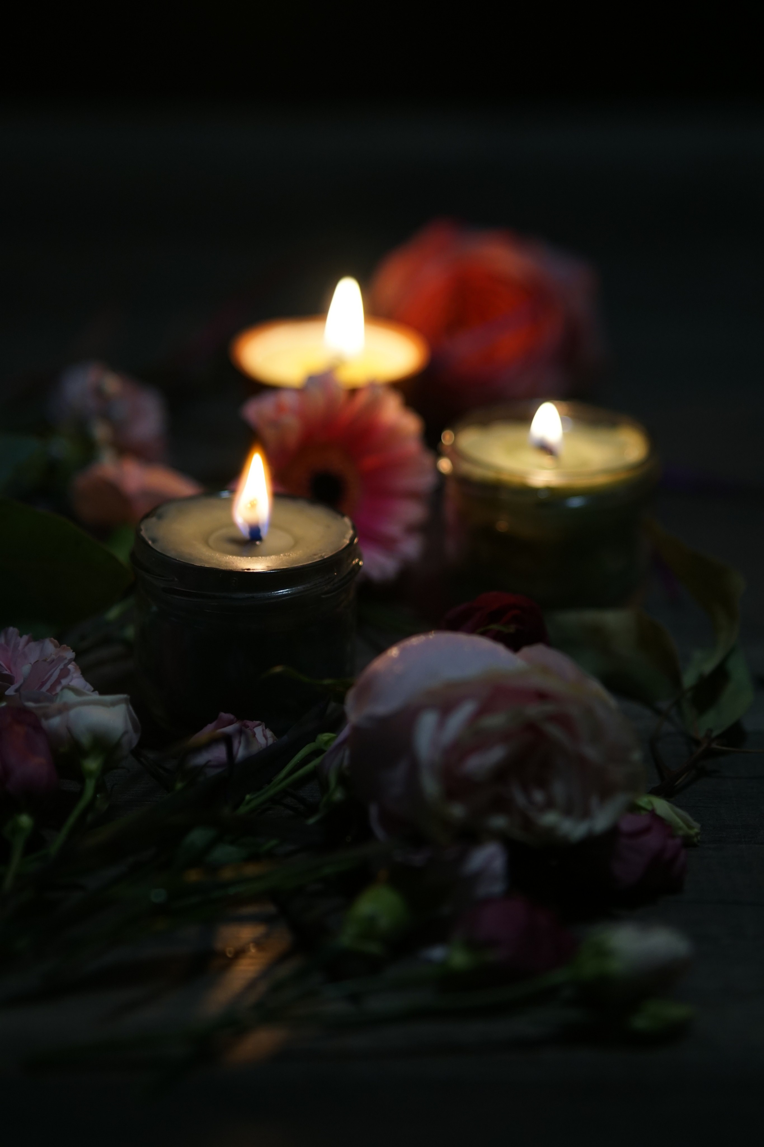 Фотограф Софья Горбунова