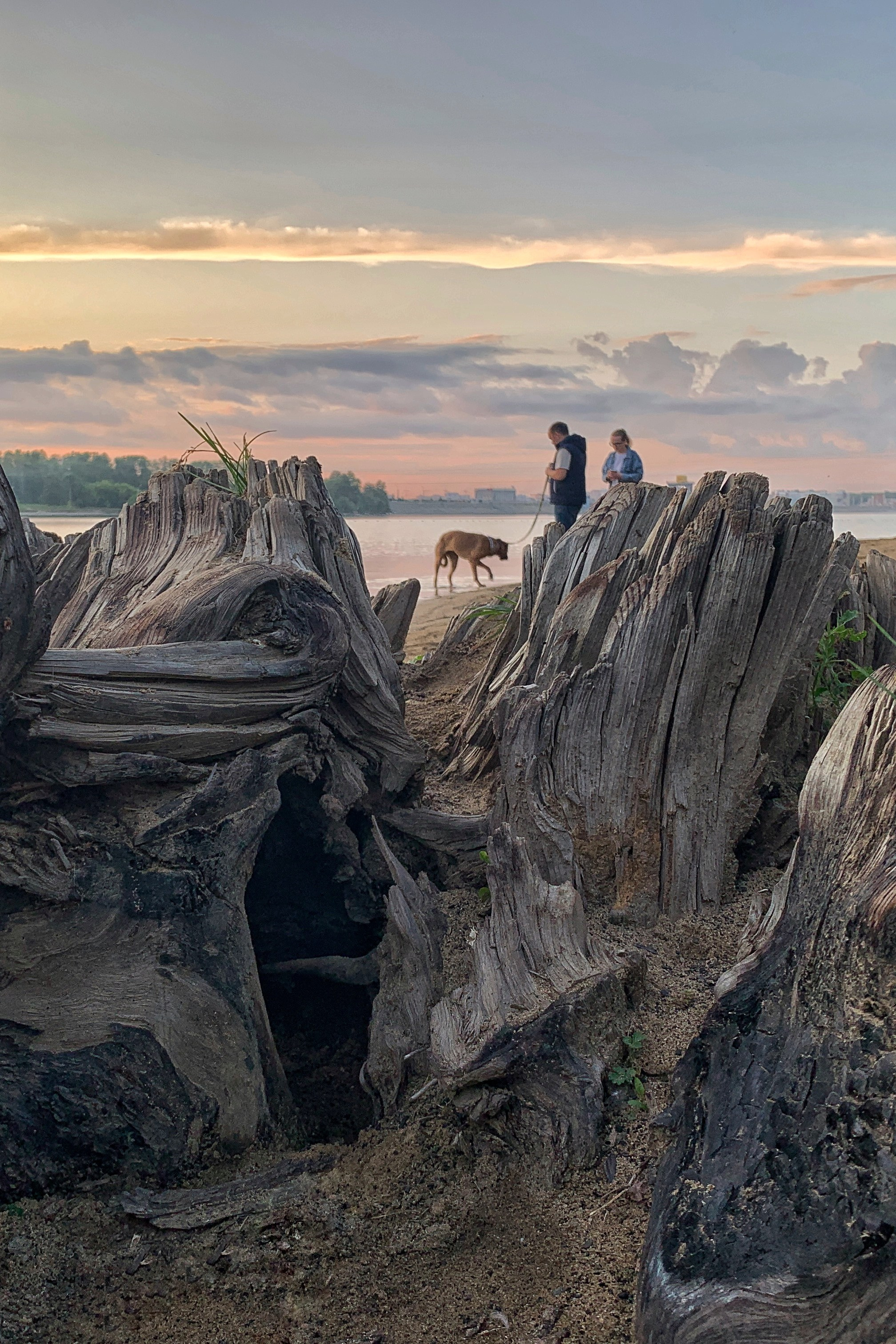 2022. Тащилин Сергей. Фотографии. Жизнь. Хобби