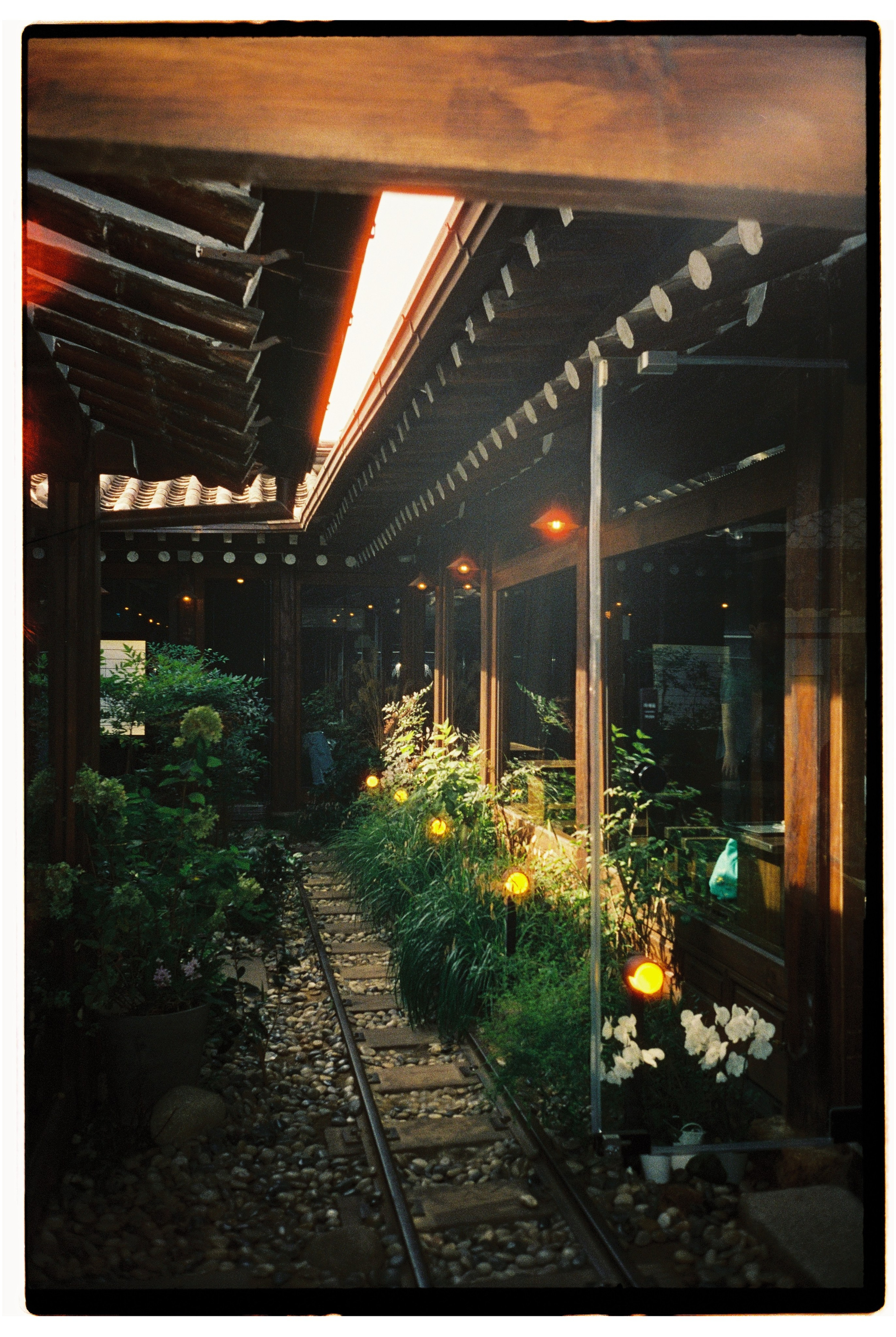 South Korea. @tomrus: Рустам Шагиморданов — фотограф