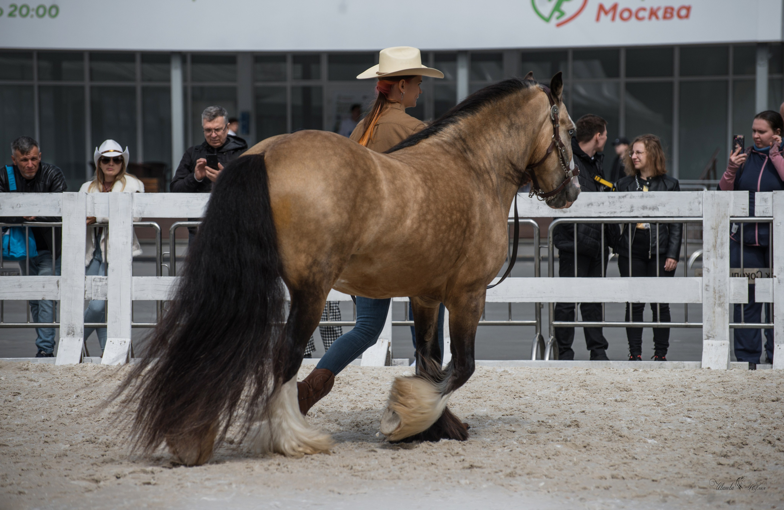 Эквирос, Москва. Конный фотограф в Саратове Юлия Иванова