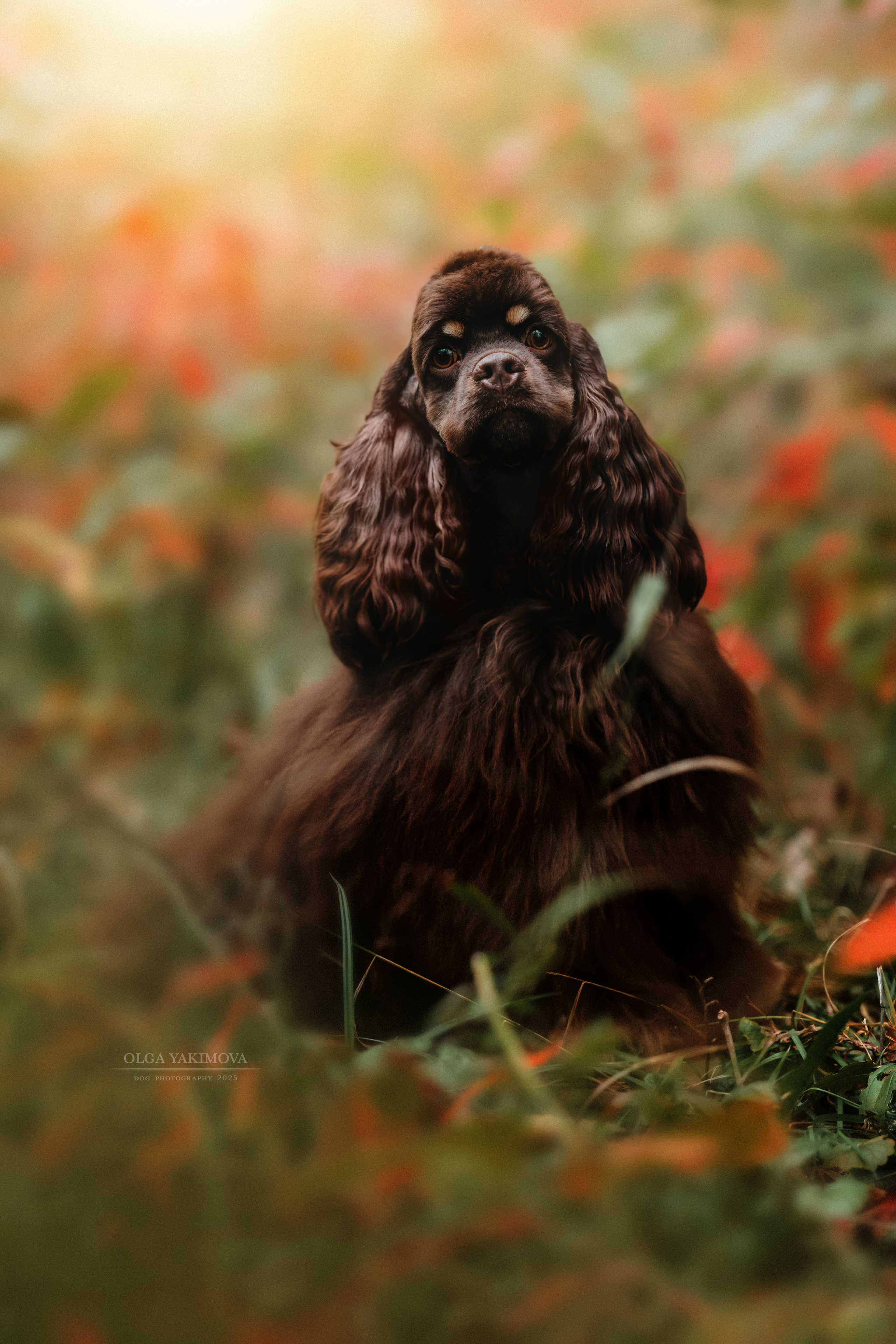 Экстерьер. Фотограф