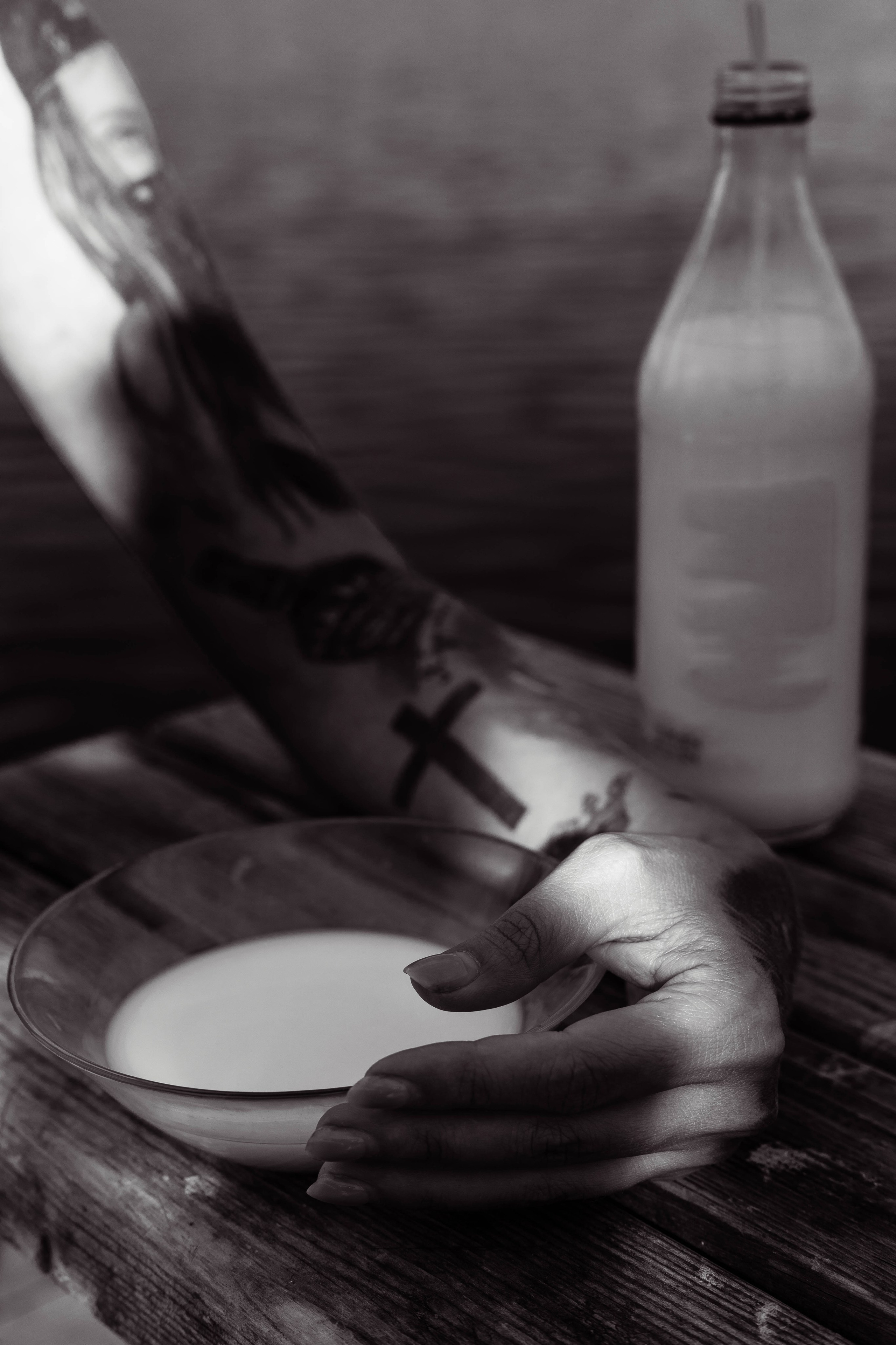 Домашняя кошка — вполне себе дикий зверь. Фотограф Анастасия Тихонова