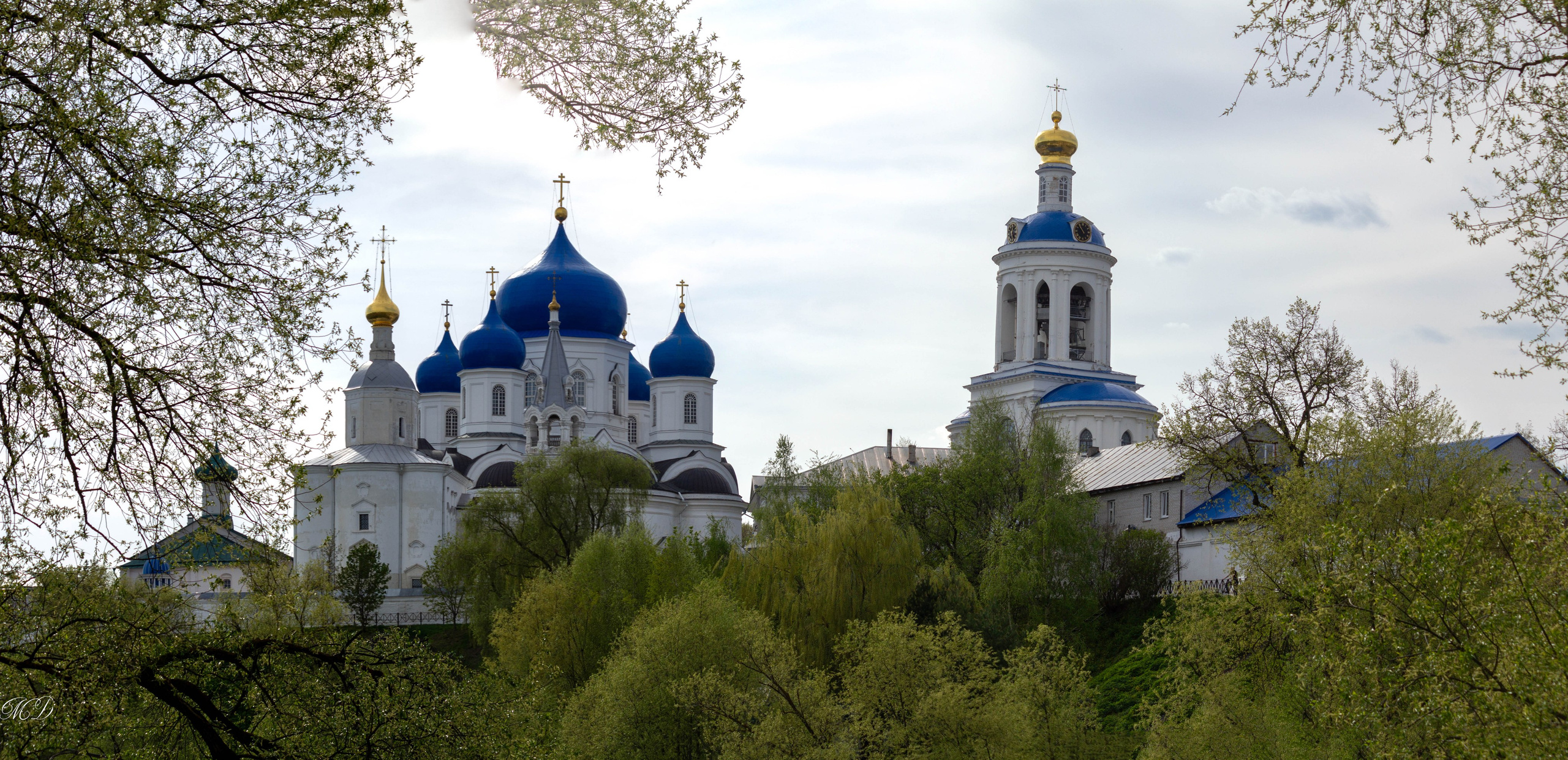 Боголюбово. Михаил Дёгтев - фотограф