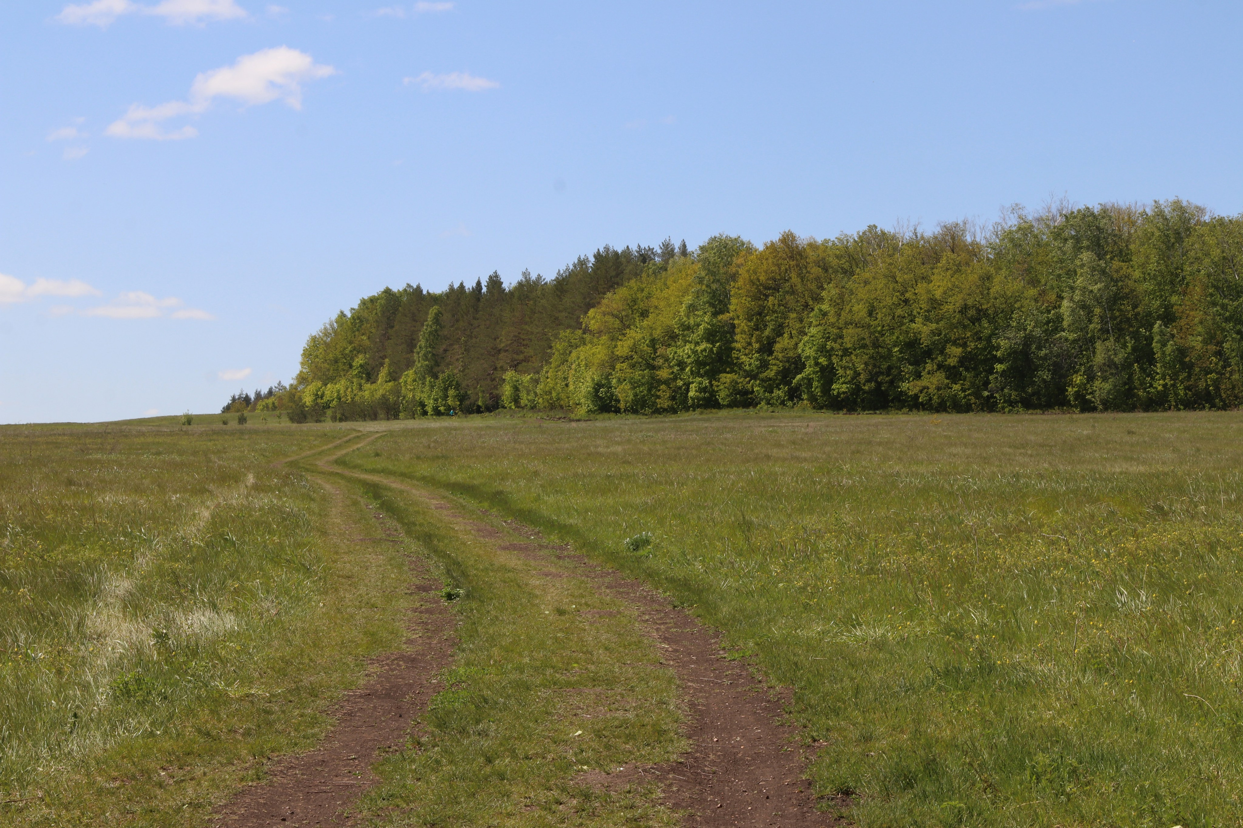 Велопоход Уфа — Мелеуз. Май 2024. Путешественник-фотограф из Санкт-Петербурга Татьяна Свистулина